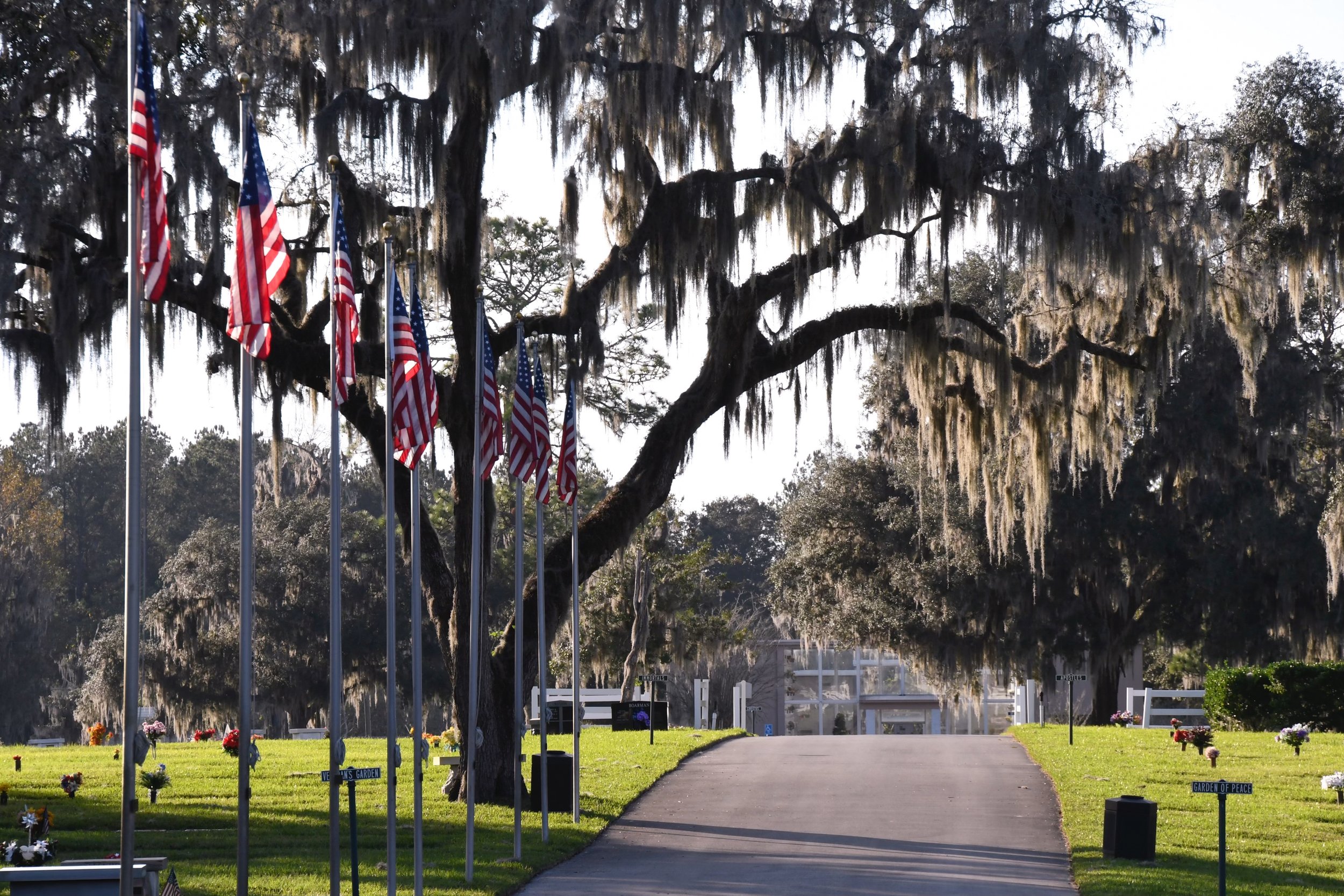 Cemetery Driveway lined with Trees and American Flags