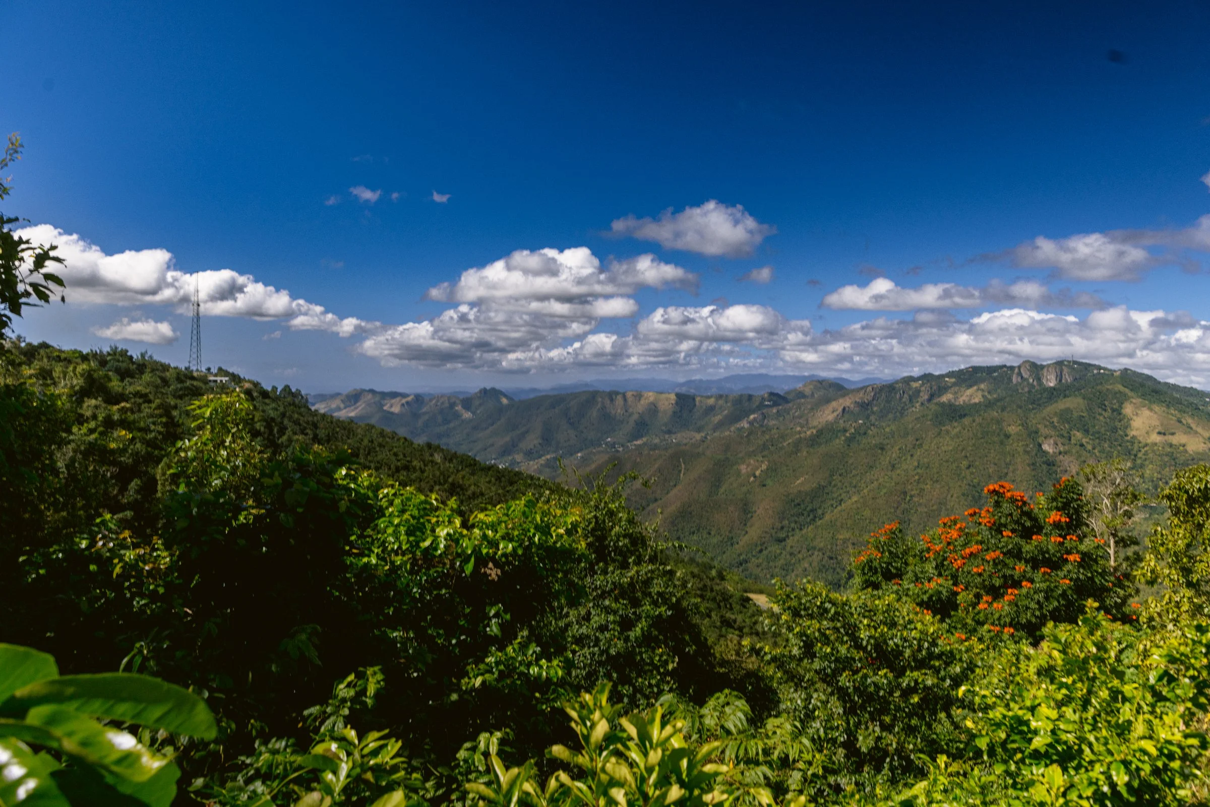 How to Elope in Puerto Rico