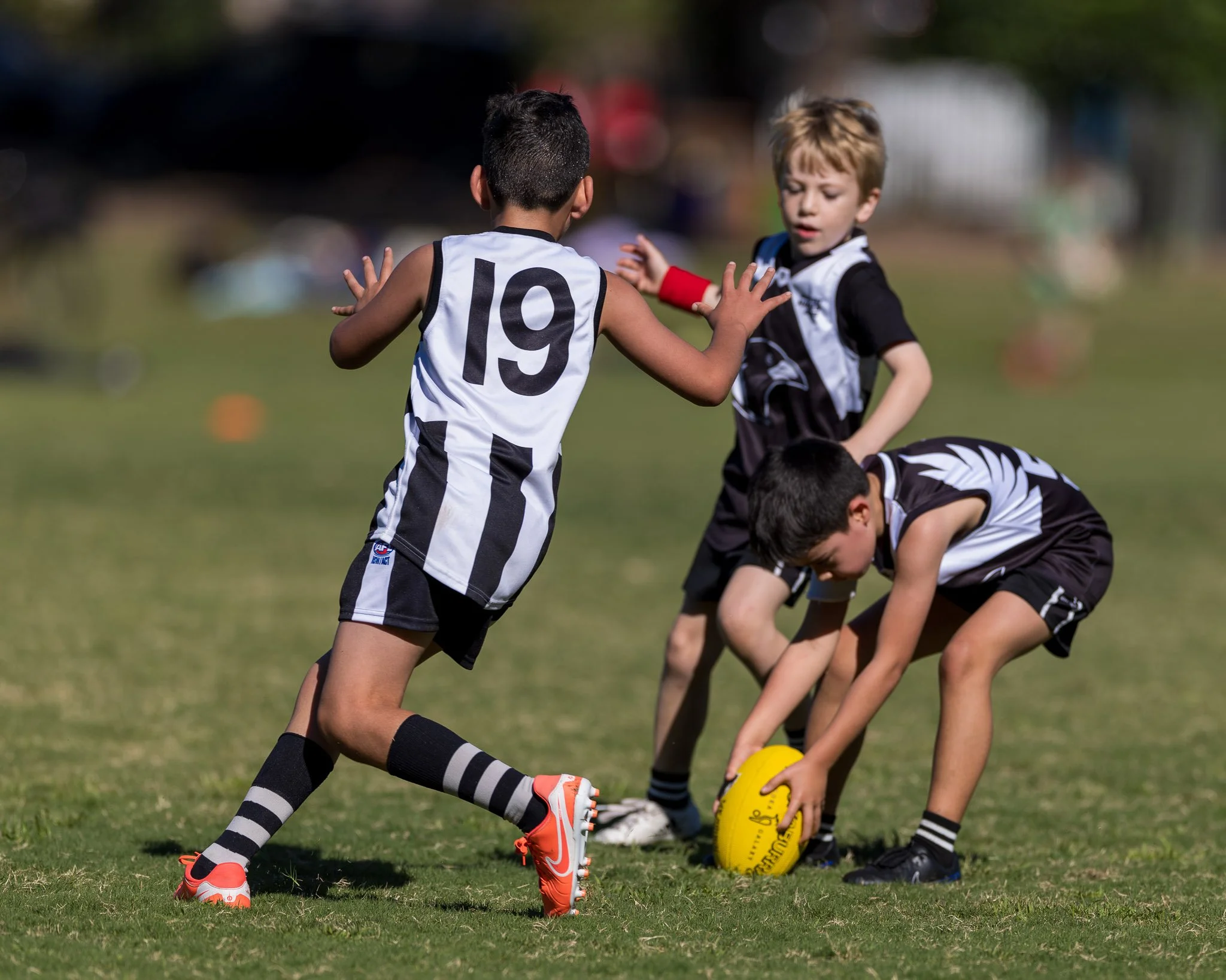 Inner West Magpies Juniors Gala Day 29 March 2026_Nat Sports Media-40.jpg