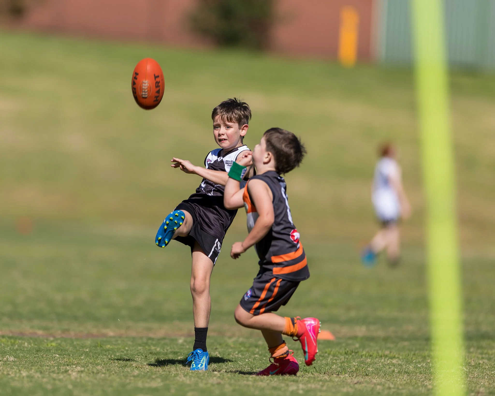 Inner West Magpies Juniors Gala Day 29 March 2026_Nat Sports Media-50.jpg