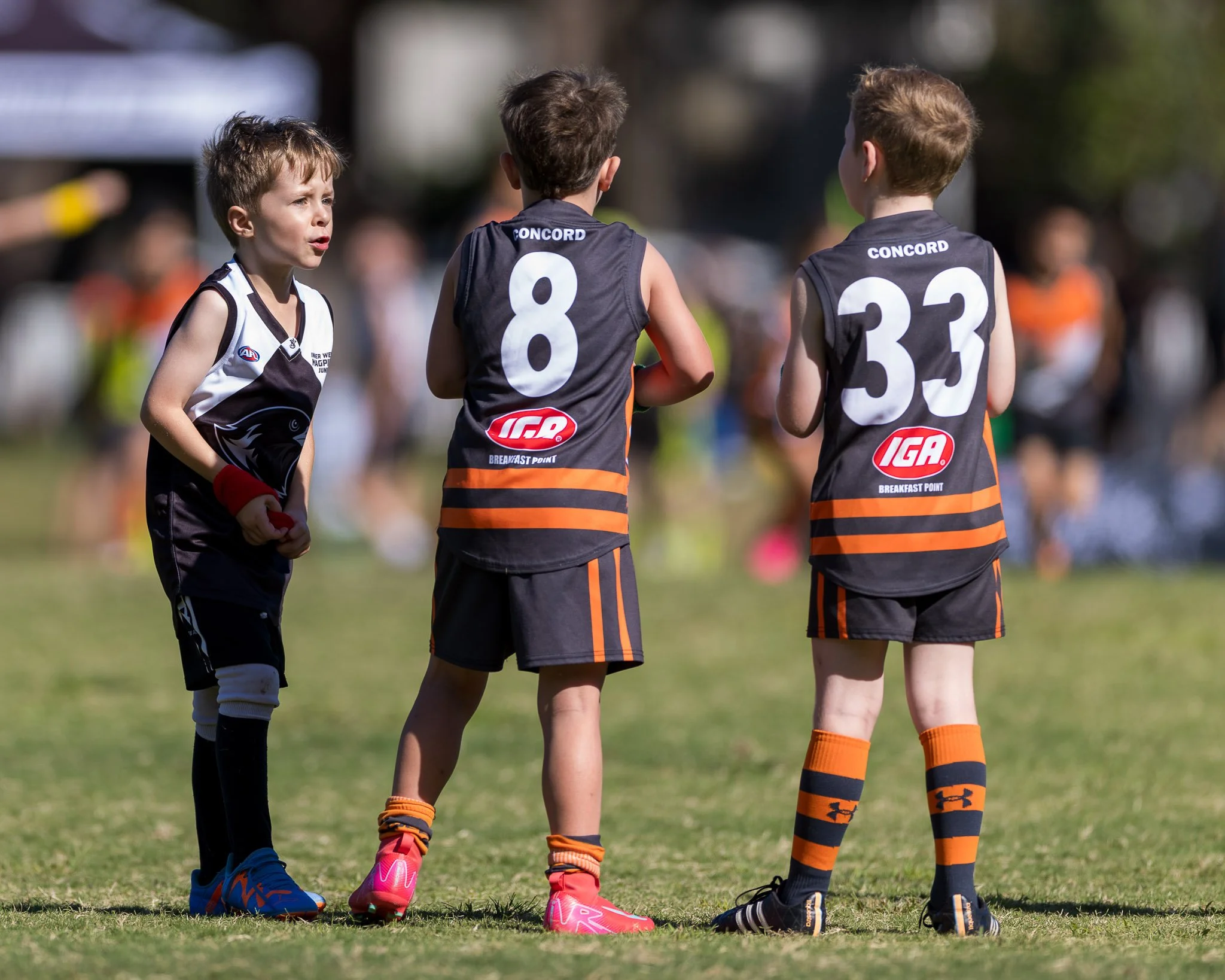 Inner West Magpies Juniors Gala Day 29 March 2026_Nat Sports Media-49.jpg