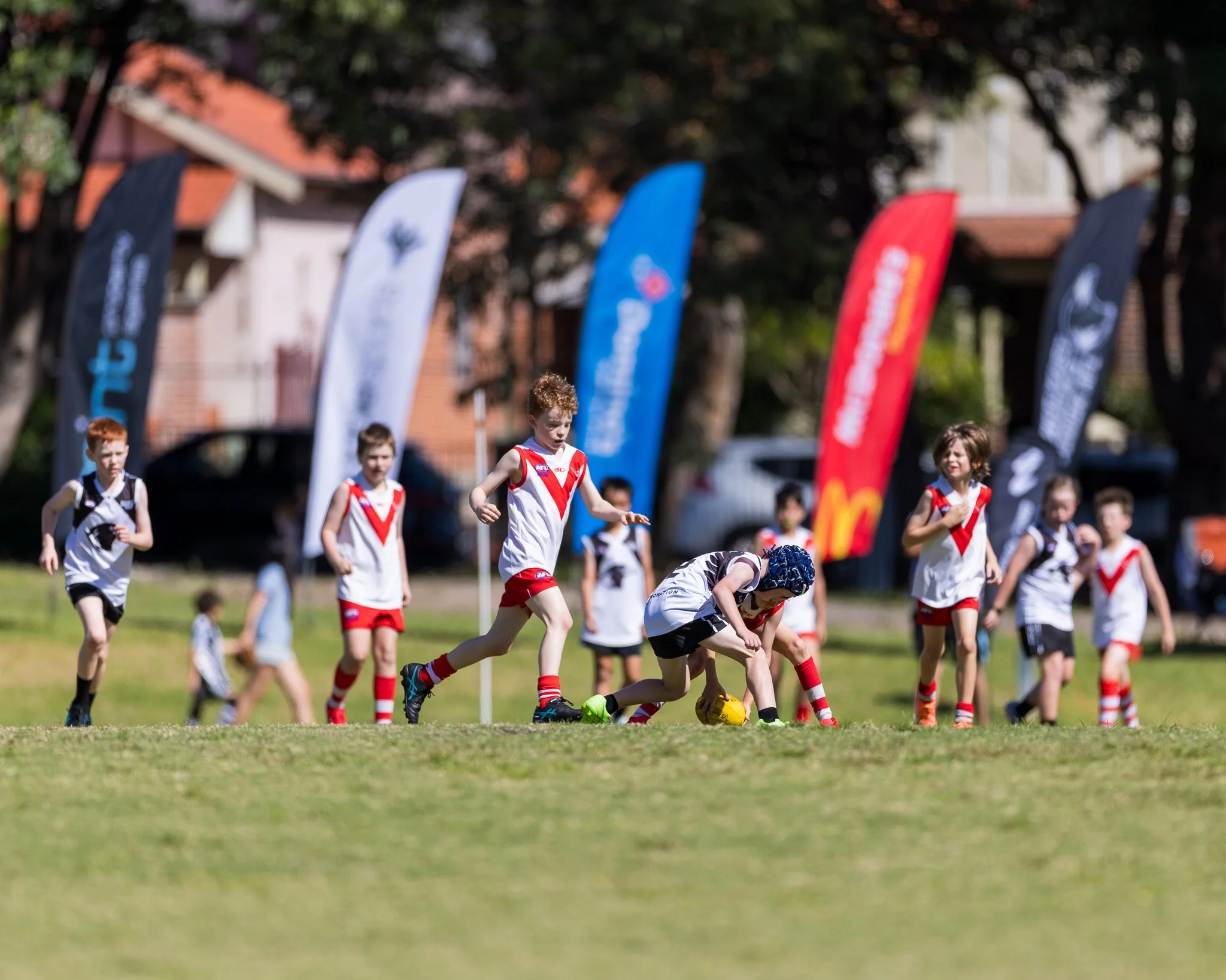 Inner West Magpies Juniors Gala Day 29 March 2026_Nat Sports Media-78.jpg