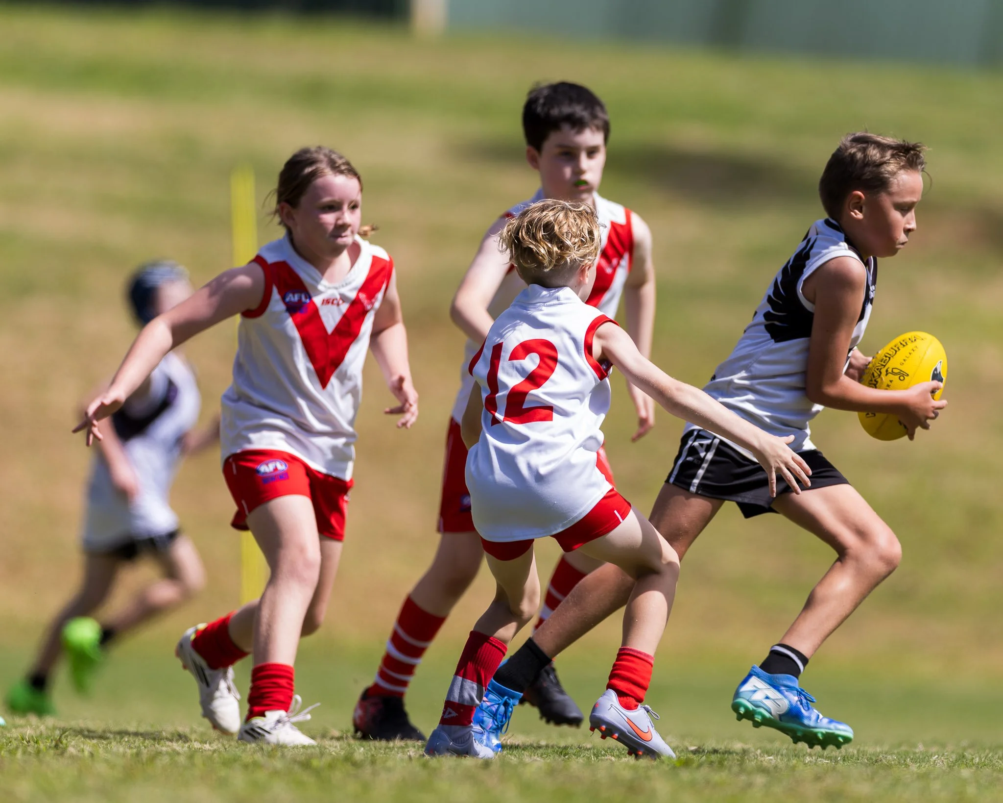 Inner West Magpies Juniors Gala Day 29 March 2026_Nat Sports Media-111.jpg
