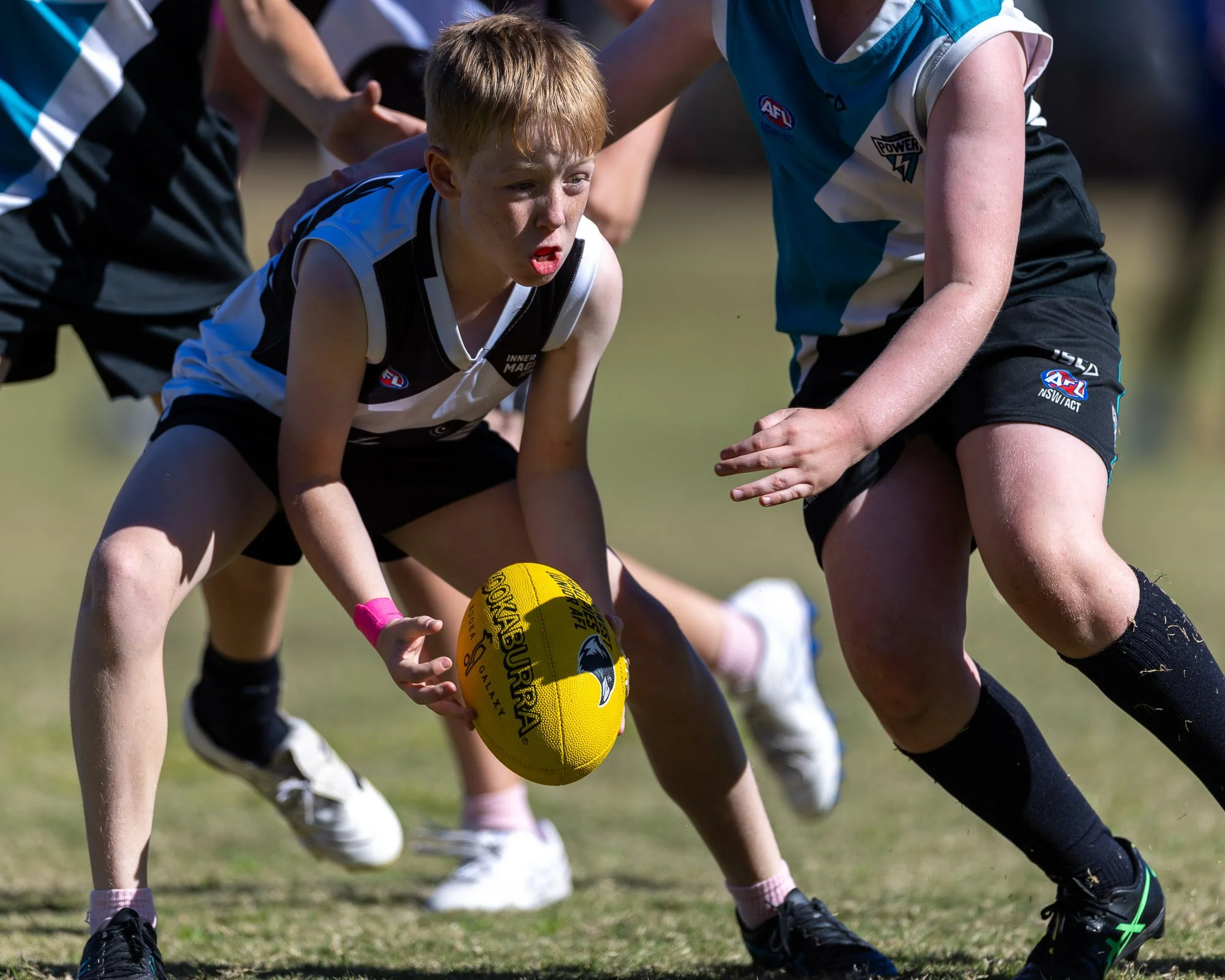 IInner West Magpies Juniors_9 May 2026_Nat Sports Media-237.jpg