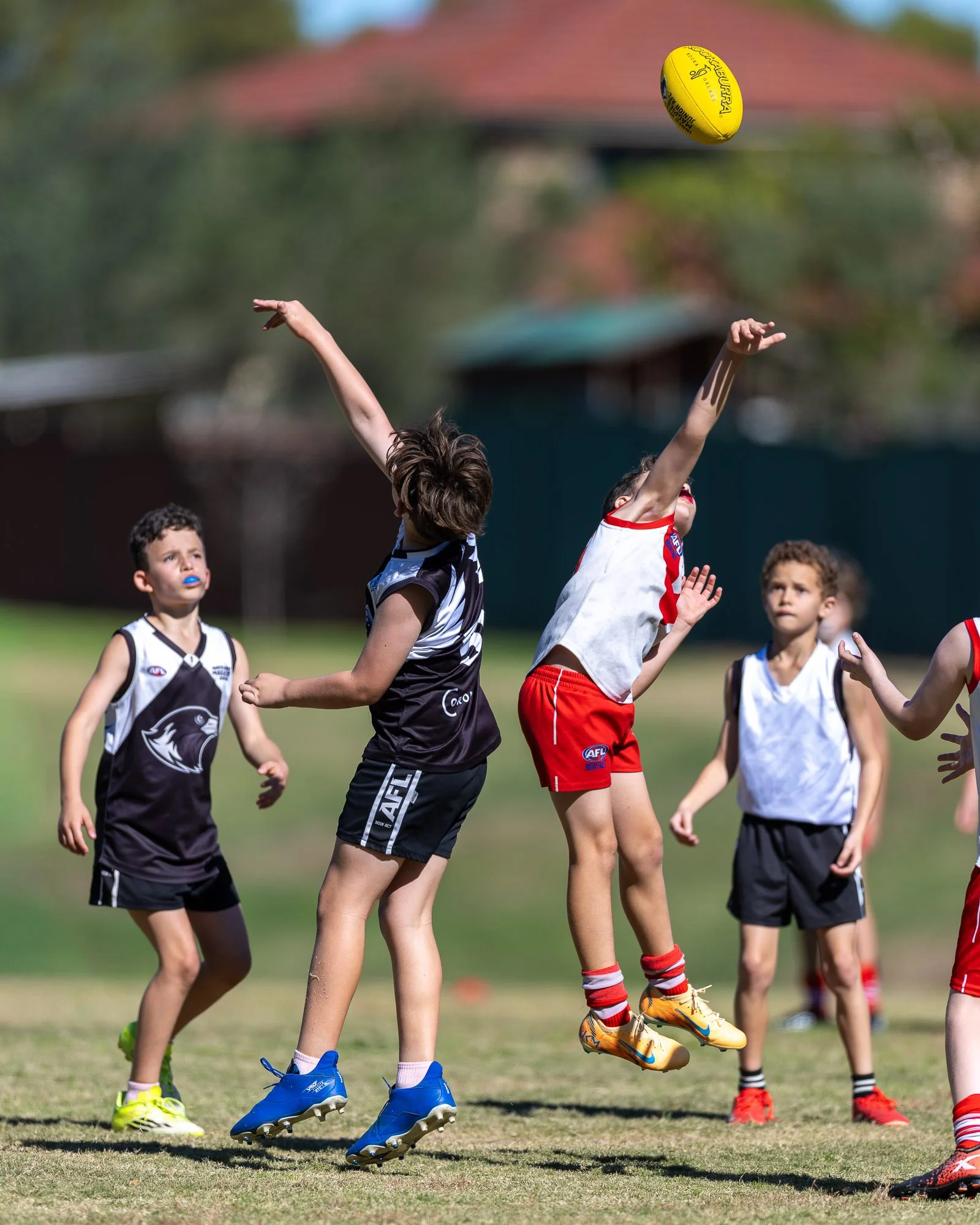 IInner West Magpies Juniors_9 May 2026_Nat Sports Media-191.jpg