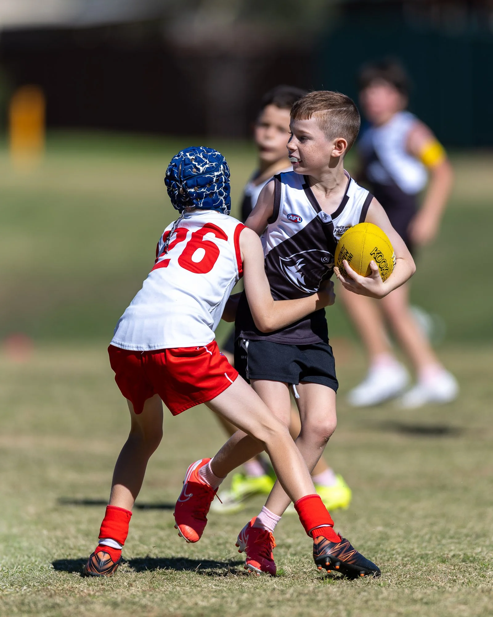 IInner West Magpies Juniors_9 May 2026_Nat Sports Media-189.jpg