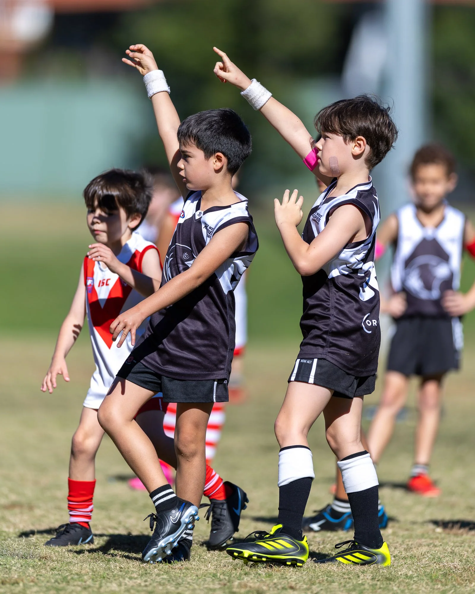IInner West Magpies Juniors_9 May 2026_Nat Sports Media-121.jpg