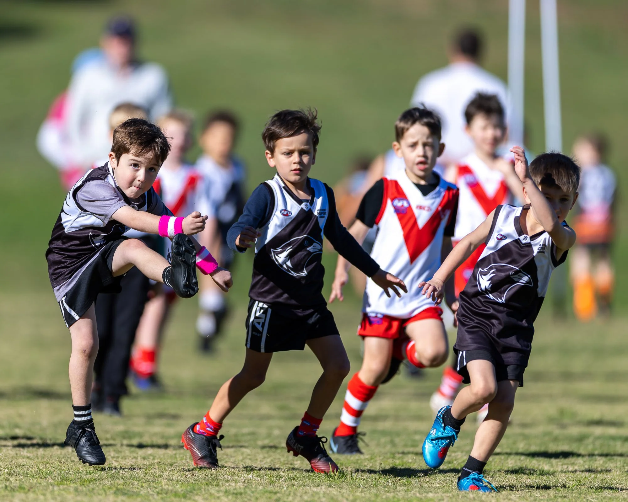 IInner West Magpies Juniors_9 May 2026_Nat Sports Media-84.jpg