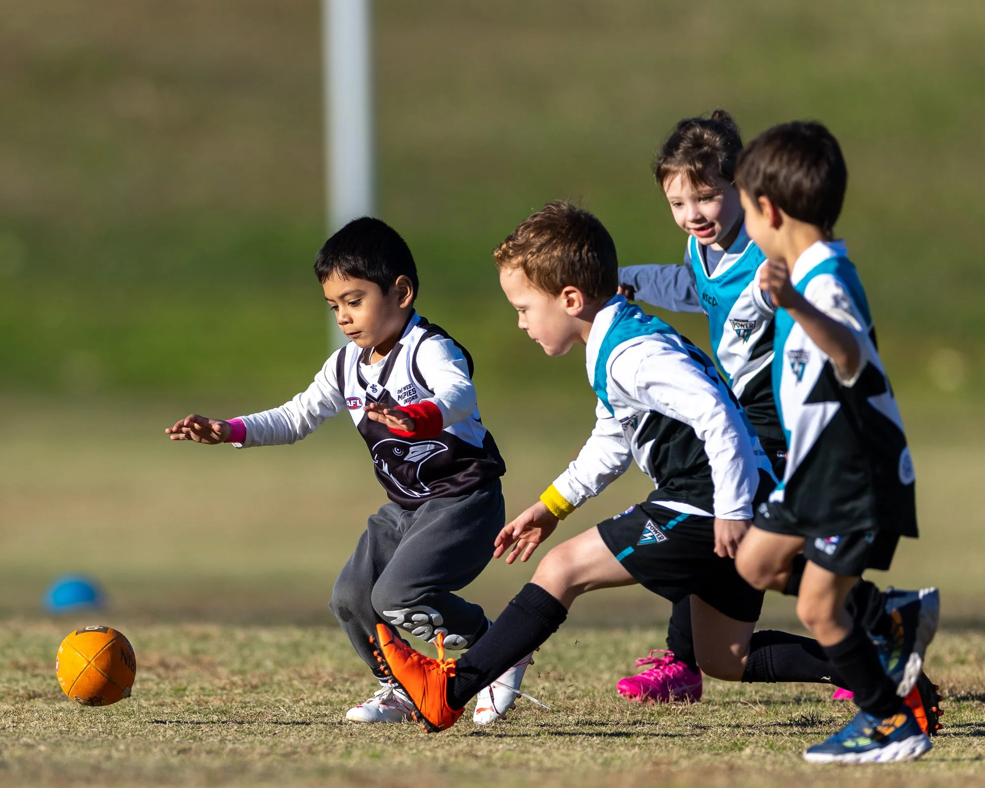 IInner West Magpies Juniors_9 May 2026_Nat Sports Media-17.jpg