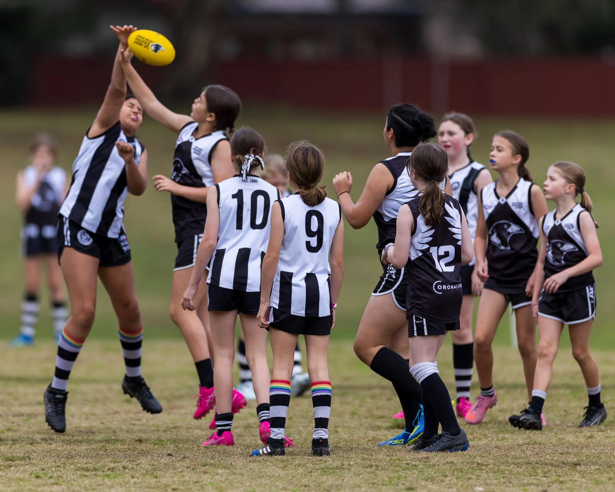 Inner West Magpies Juniors_24 May 2026_Nat Sports Media-45.jpg