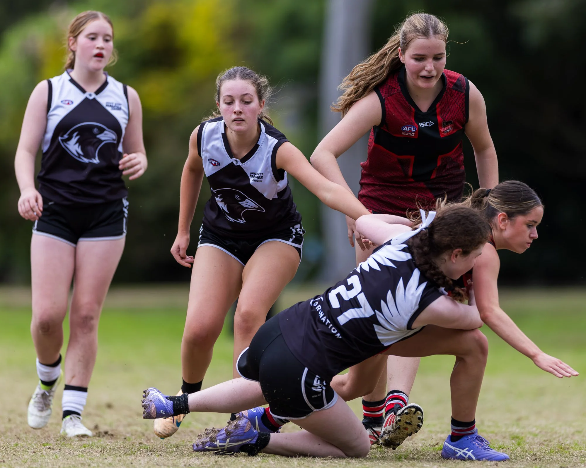 Inner West Magpies Juniors_24 May 2026_Nat Sports Media-199.jpg