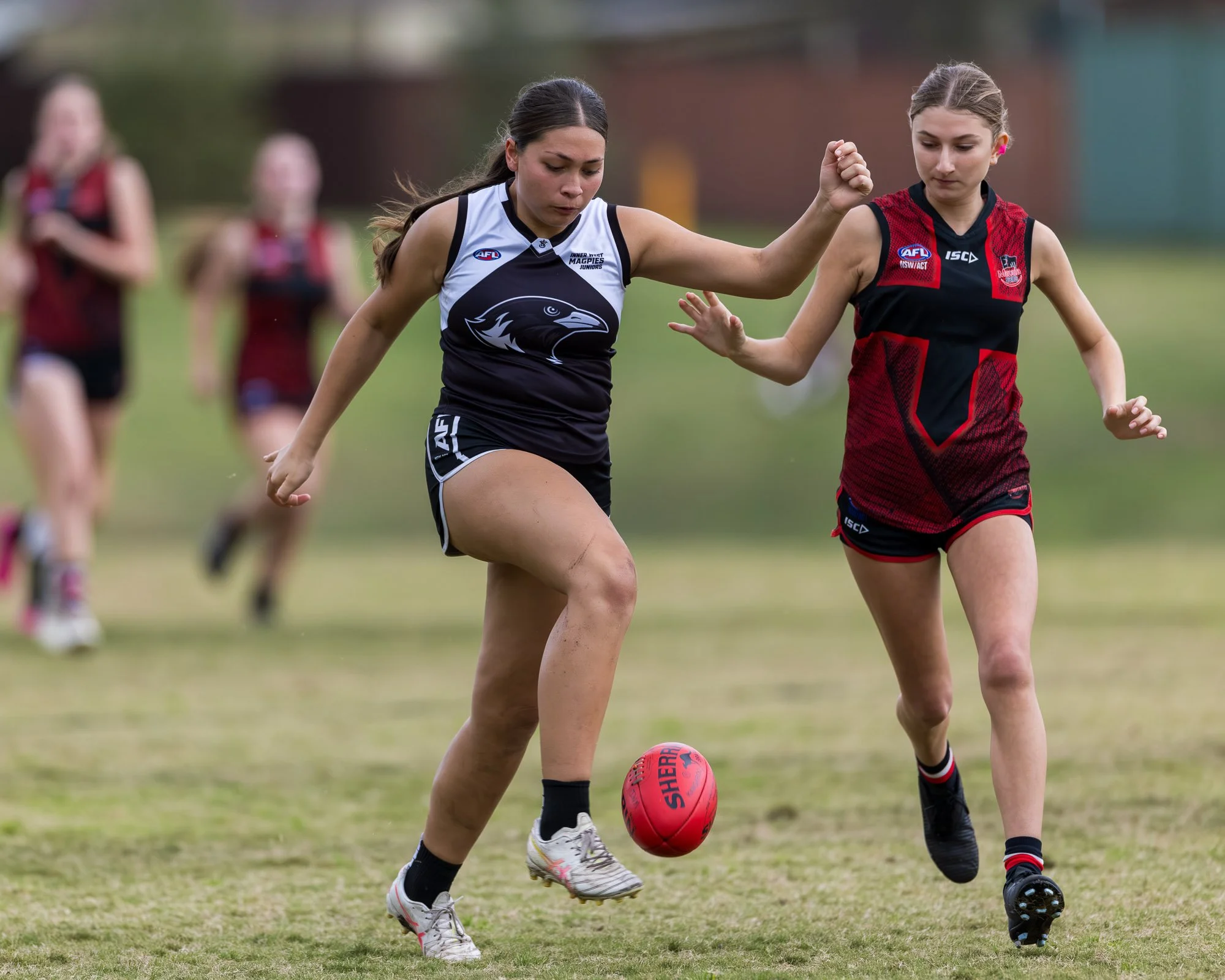 Inner West Magpies Juniors_24 May 2026_Nat Sports Media-205.jpg