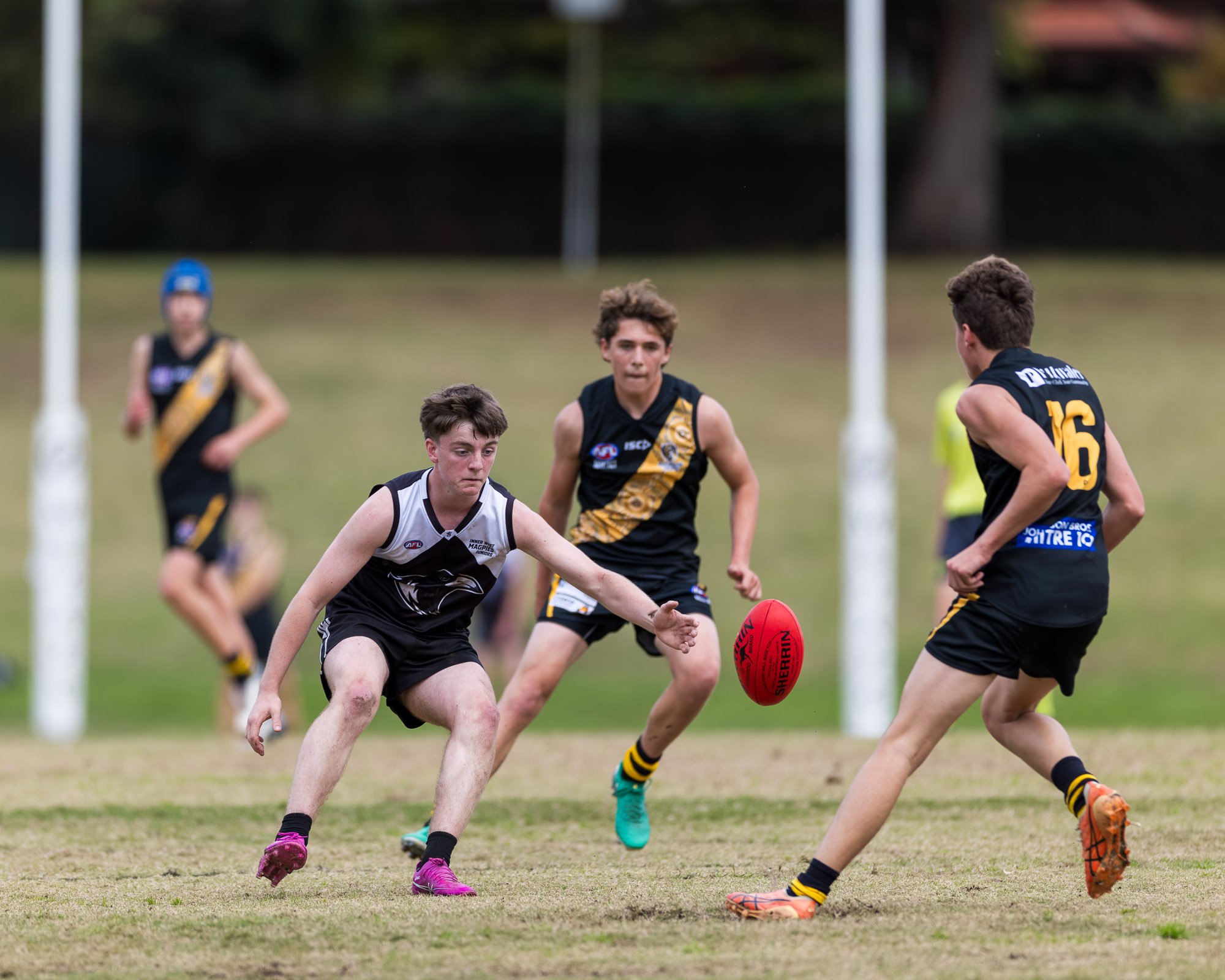 Inner West Magpies Juniors_24 May 2026_Nat Sports Media-139.jpg
