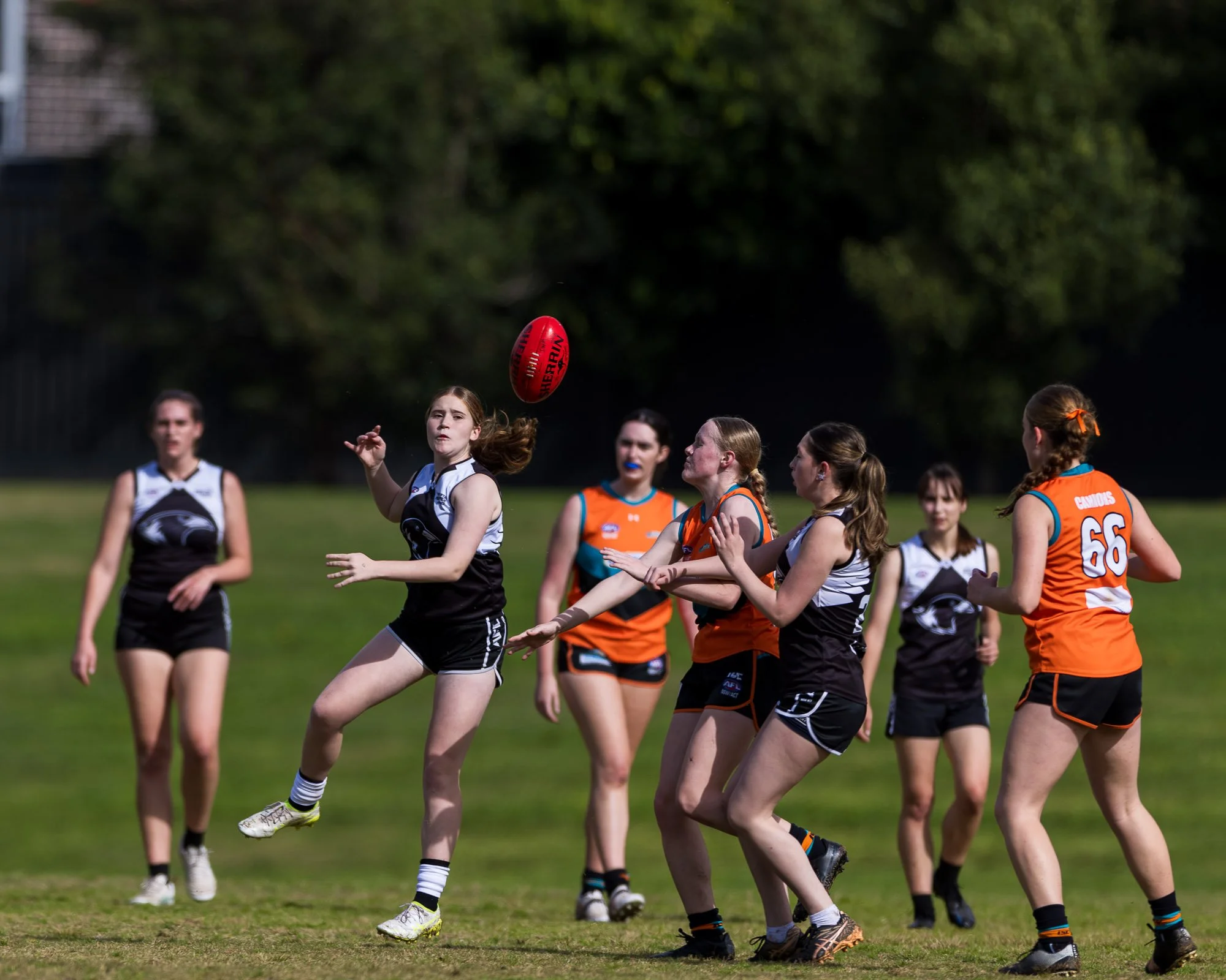 Inner West Magpies Juniors_24 May 2026_Nat Sports Media-100.jpg