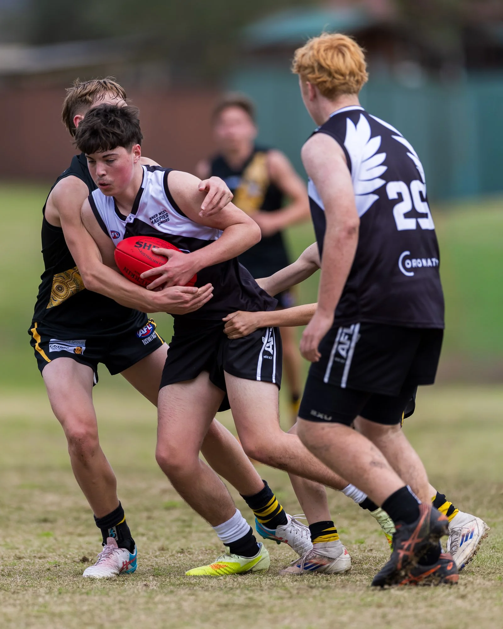 Inner West Magpies Juniors_24 May 2026_Nat Sports Media-138.jpg
