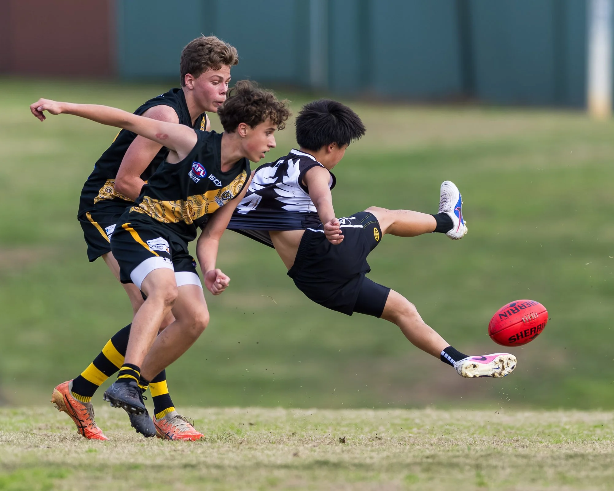 Inner West Magpies Juniors_24 May 2026_Nat Sports Media-157.jpg