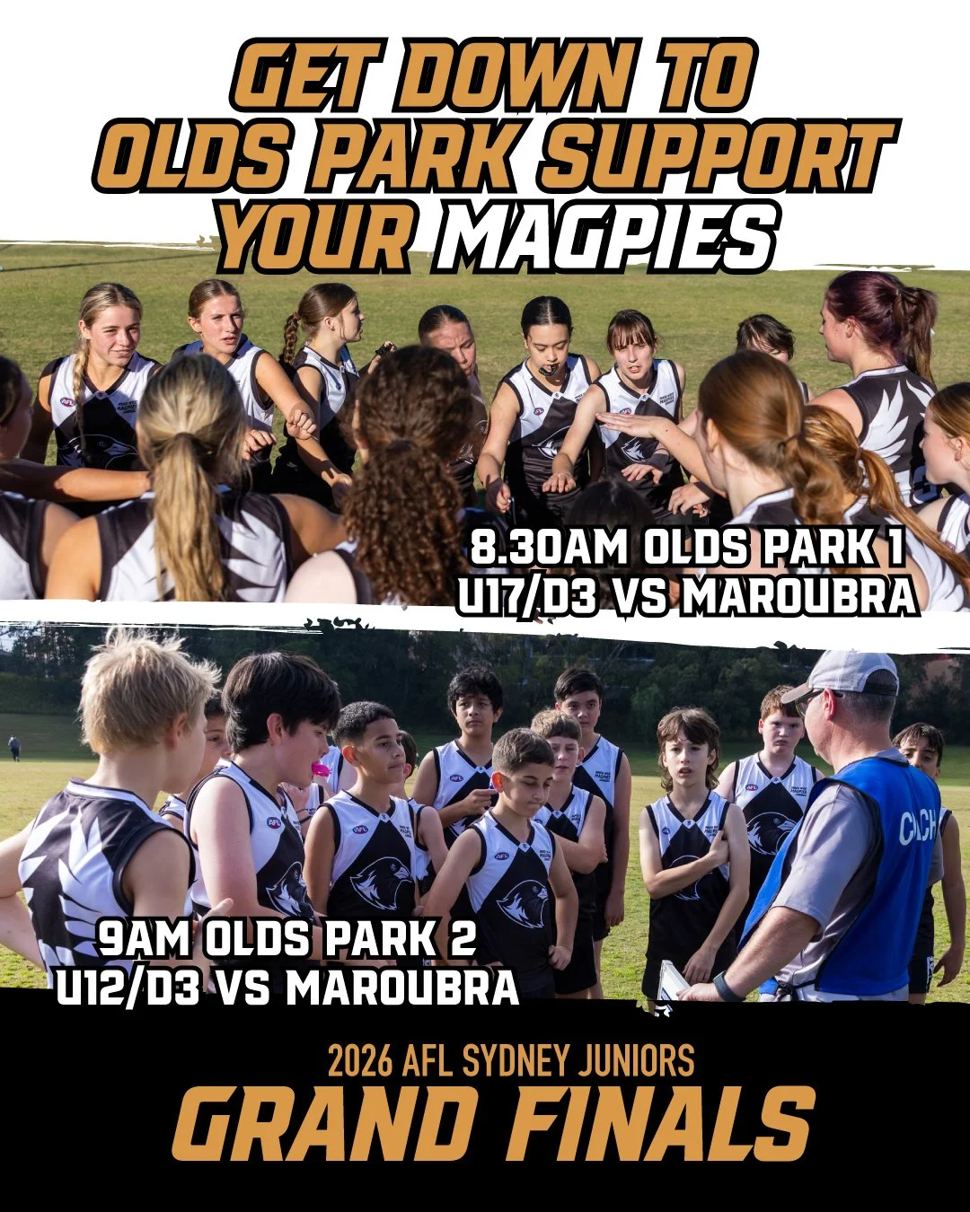 IT&rsquo;S GRAND FINAL TIME SUNDAY! 🖤🤍🏆 The big dance is finally here, and our Magpies need the black-and-white army out in full voice this Sunday! Two huge clashes, both taking on Maroubra for the flag at Olds Park.

Set your alarms, pack your ba