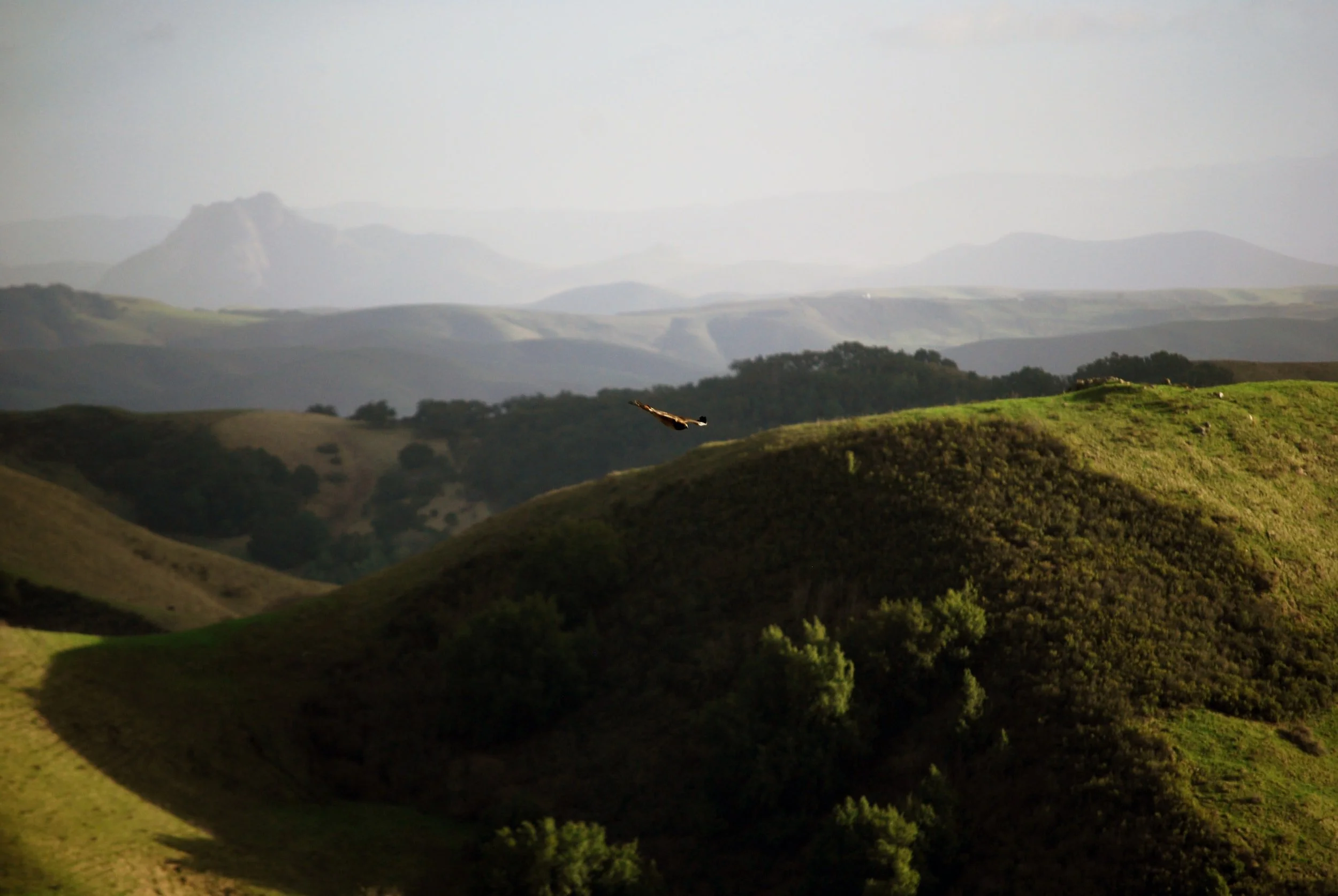 Hollister Personal Injury Lawyer Jordan Johnson of Pacific Coast Injury Lawyer, APC Handles Highway 25 Car Accident Cases