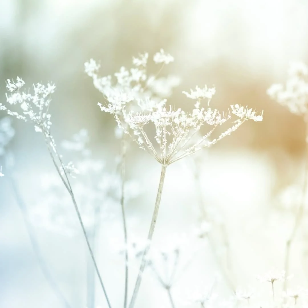 You Don’t Have to Hold It All Together: What Therapy for Moms Really Looks Like