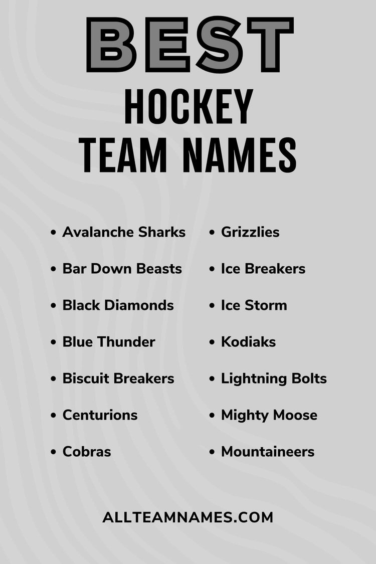 267 Names For Hockey Teams That Score Big