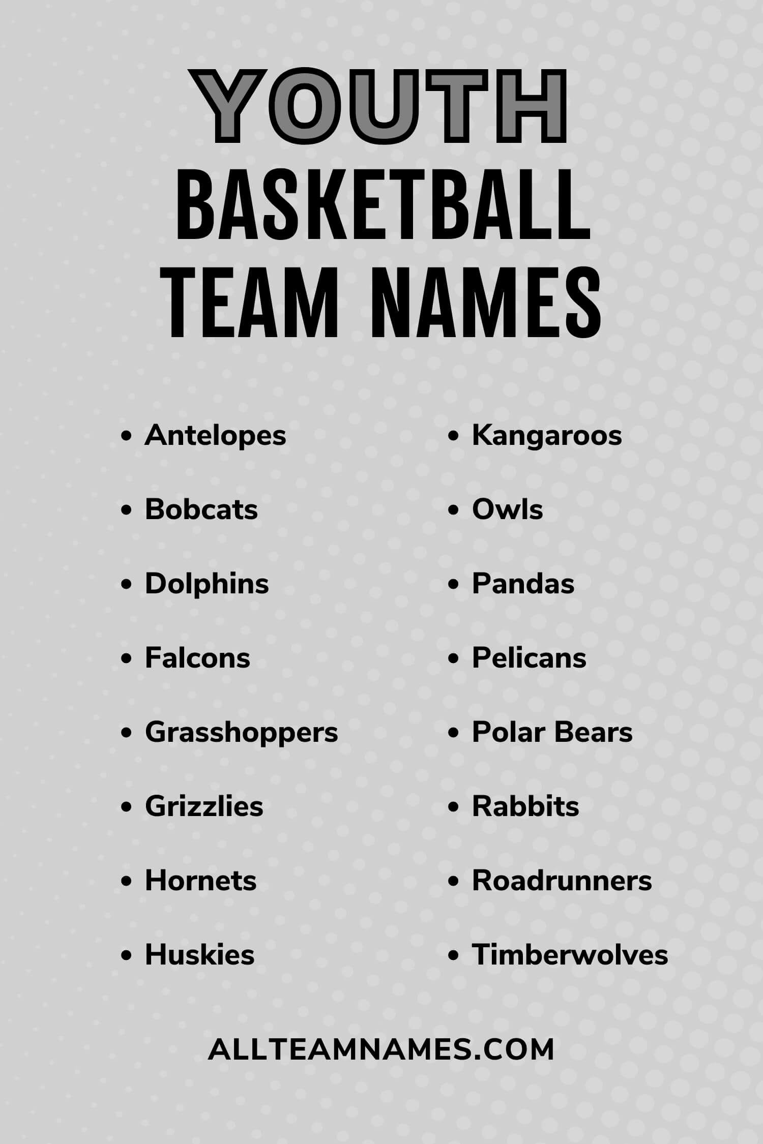 217 Best Basketball Team Names To Assist You