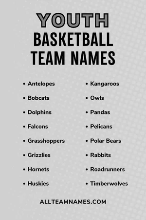 217 Best Basketball Team Names To Assist You