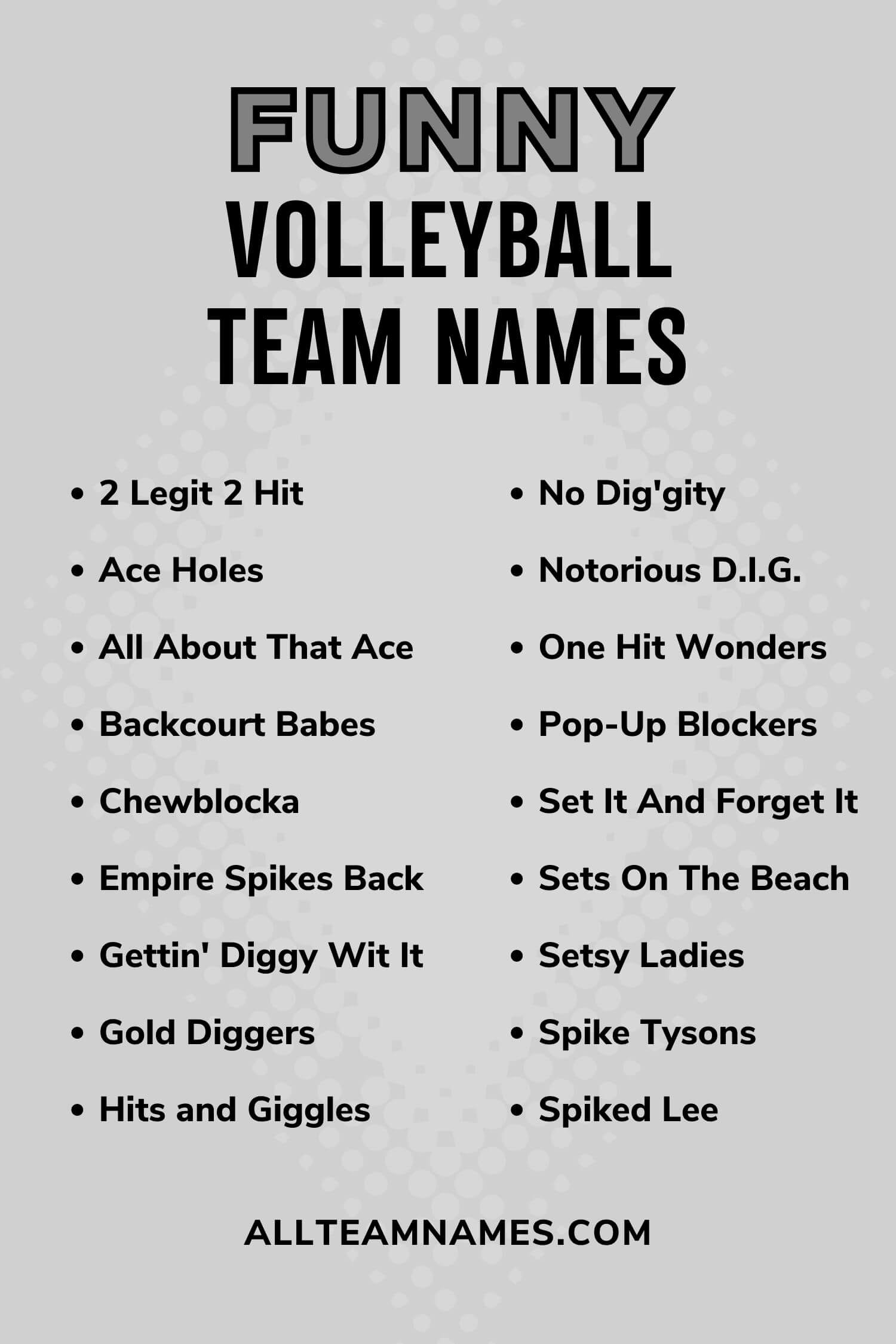 Isbjørn skør Satire 111 Volleyball Team Names That Are A Hit