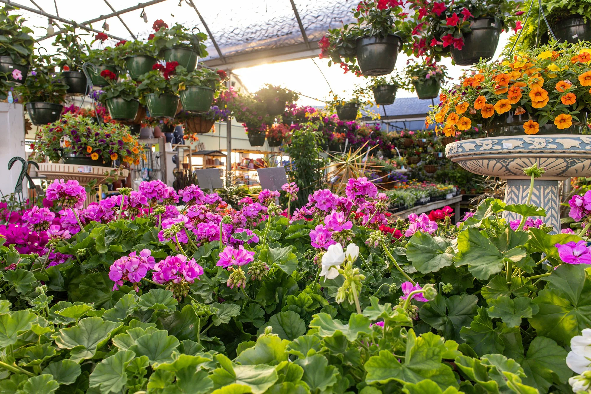 Thress Nursery 2024-265.jpg