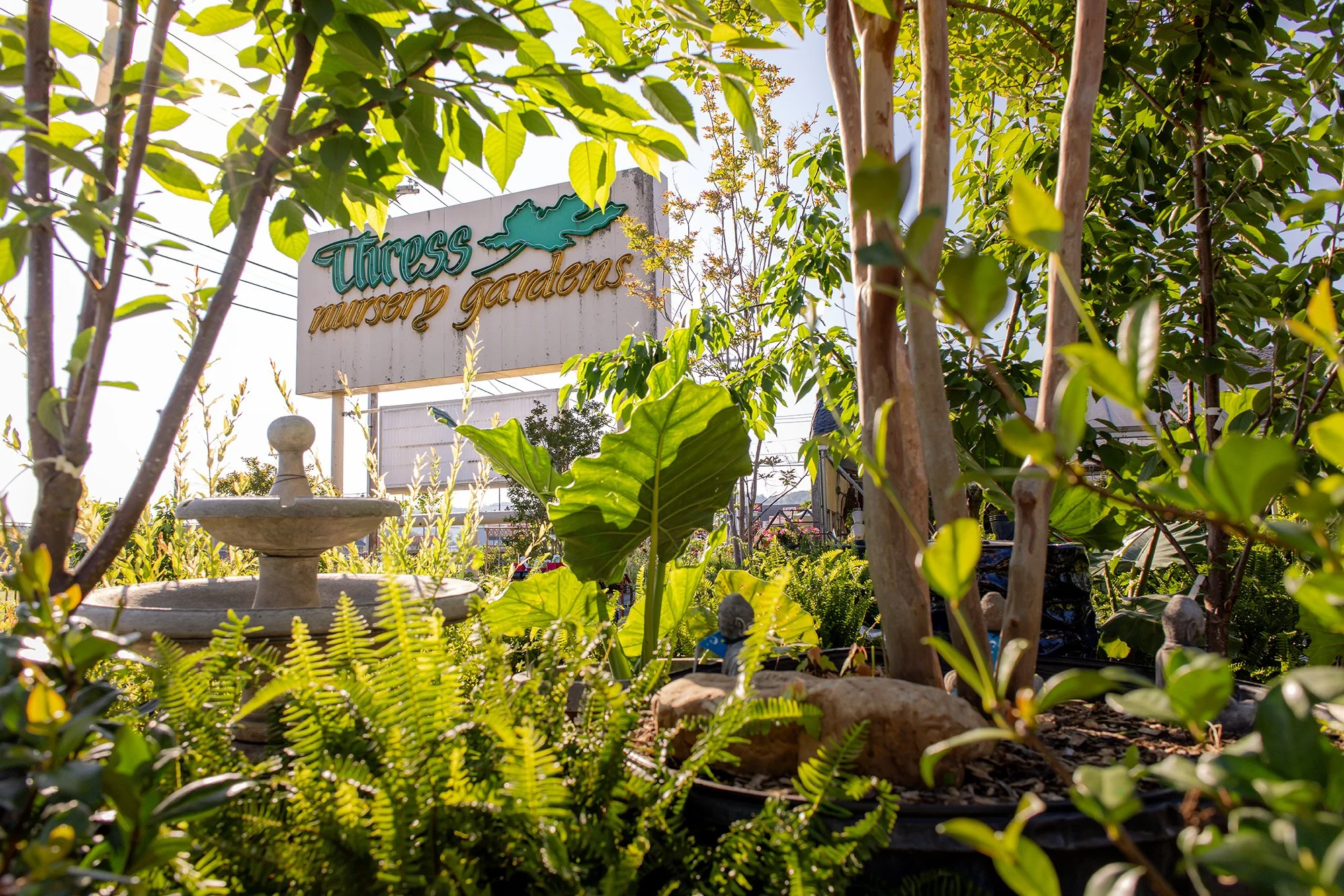 Thress Nursery-583.jpg