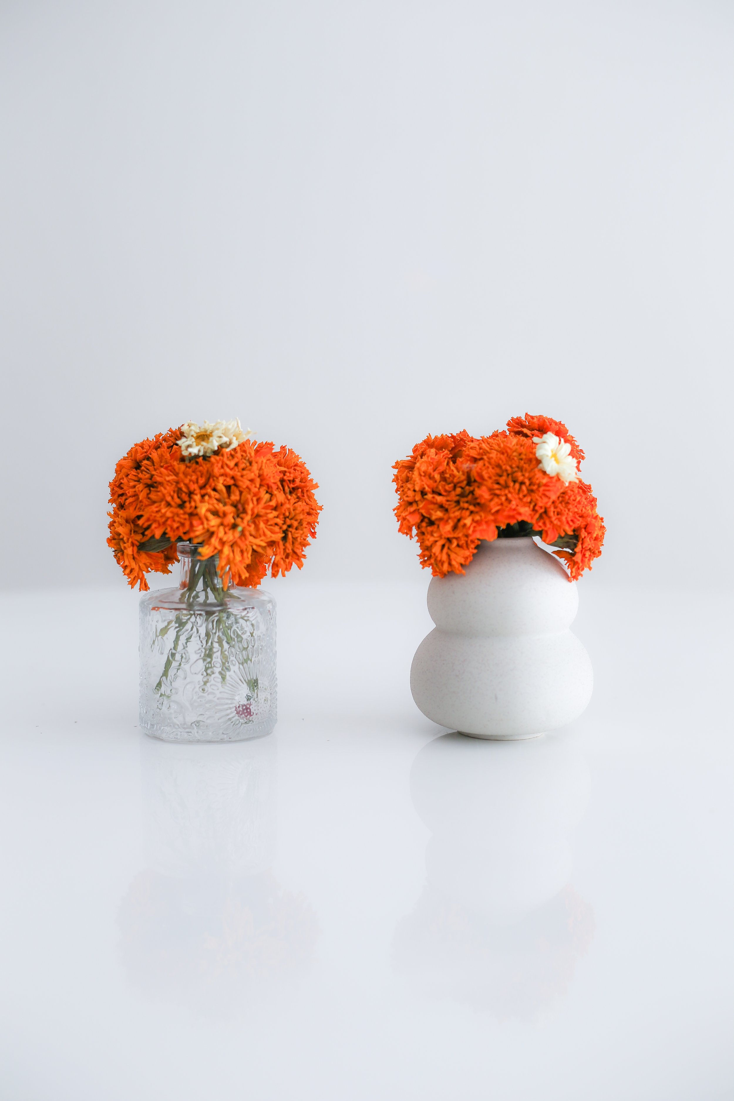 marigolds-4.jpg