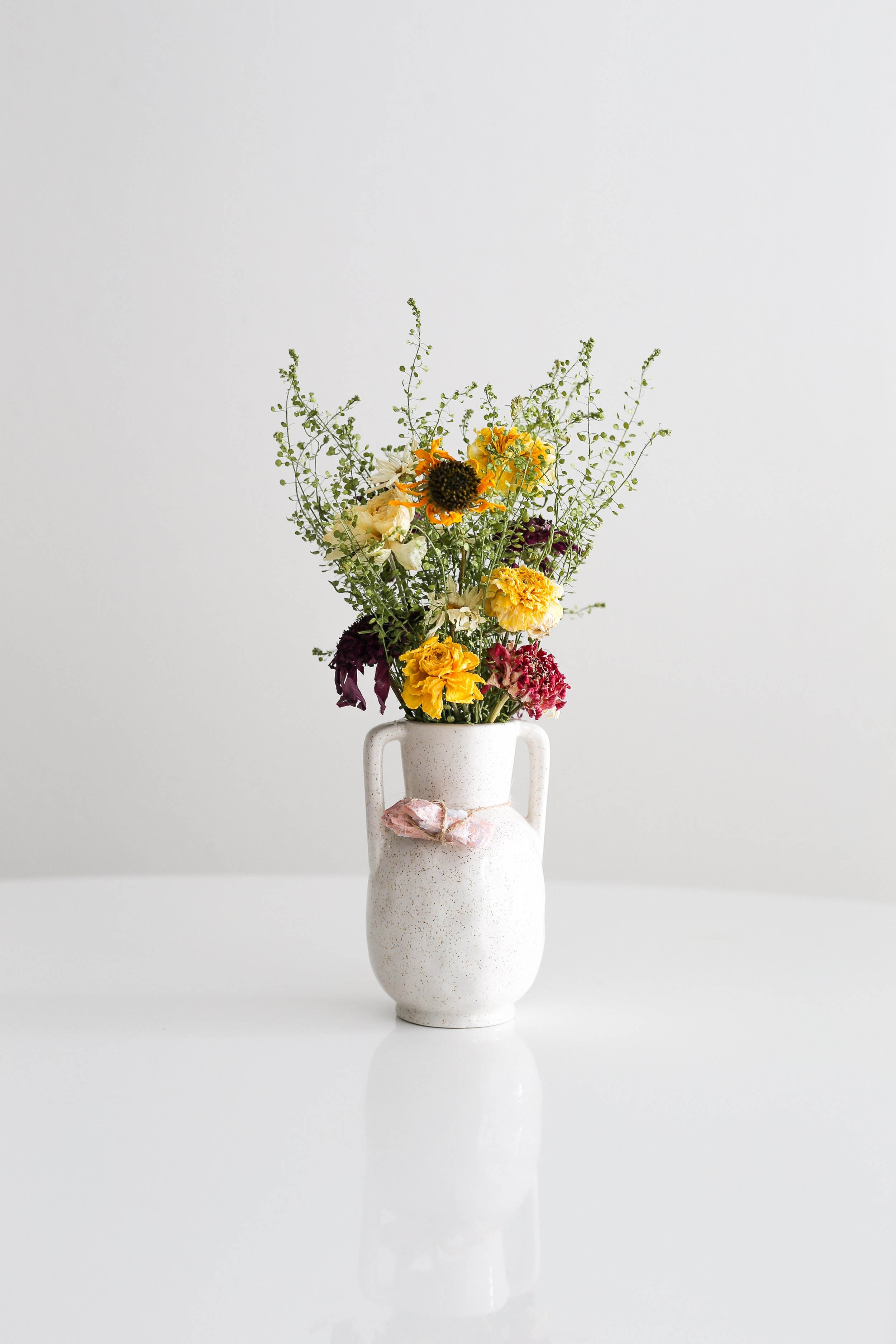pennycress-2.jpg
