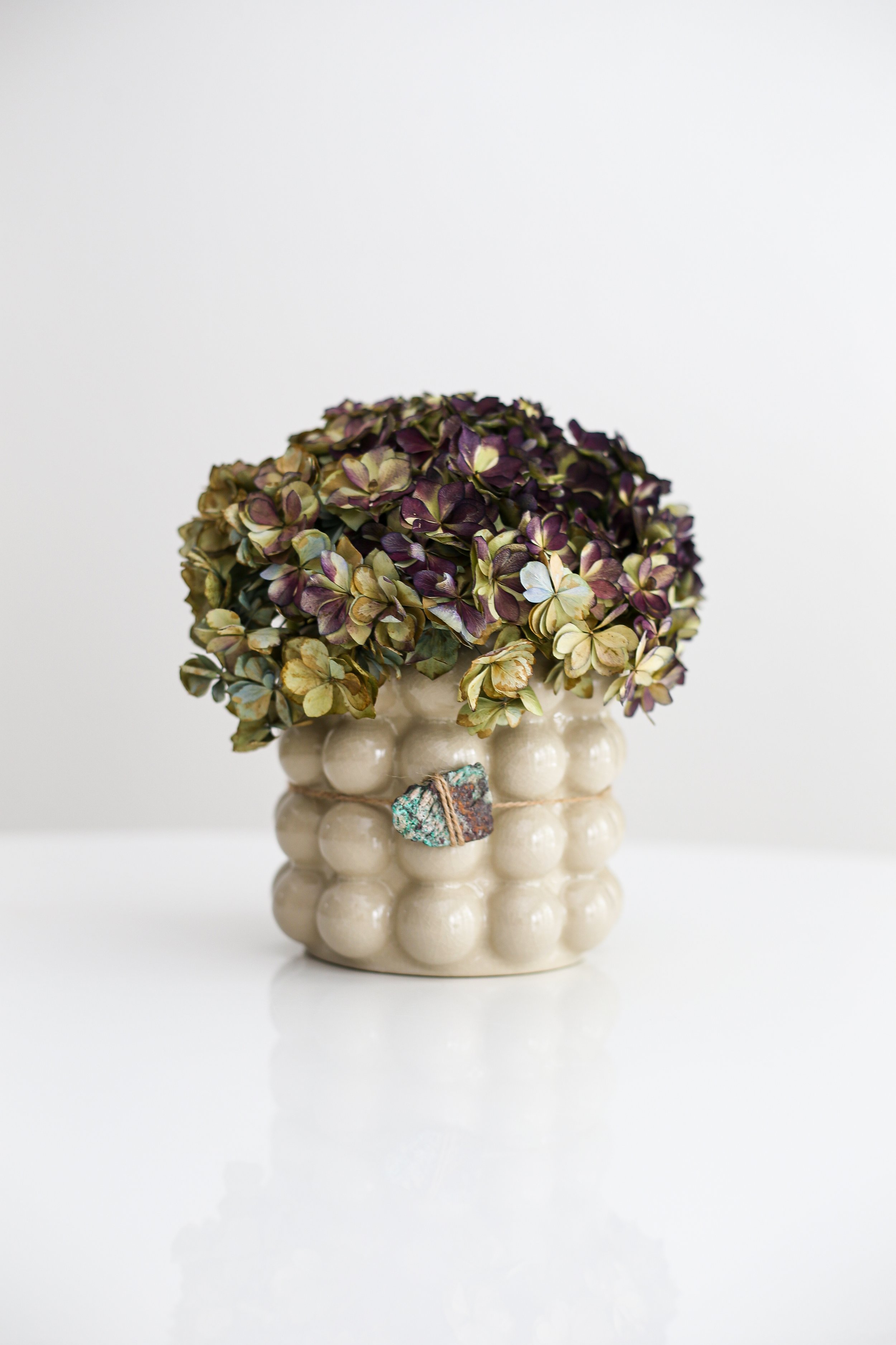 hydrangea.jpg
