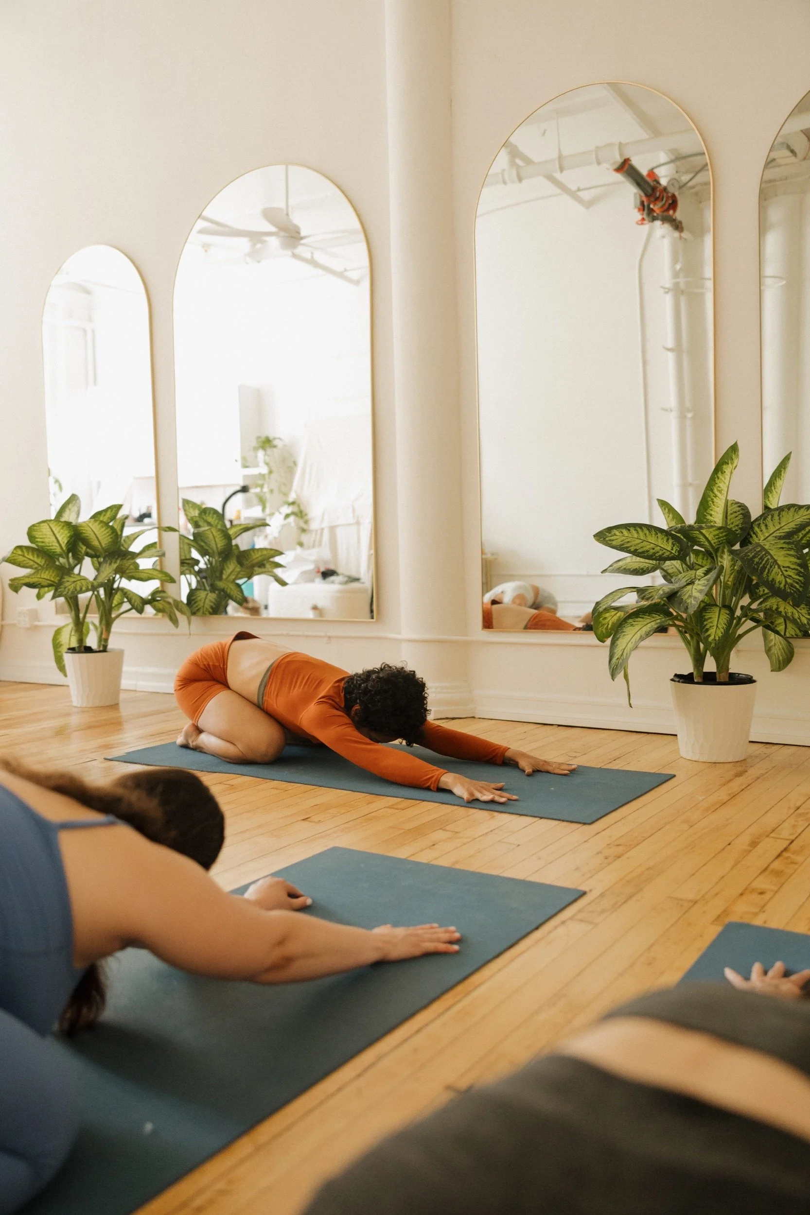 Exercise, Wellness, Health, Longevity, Yoga, Natural