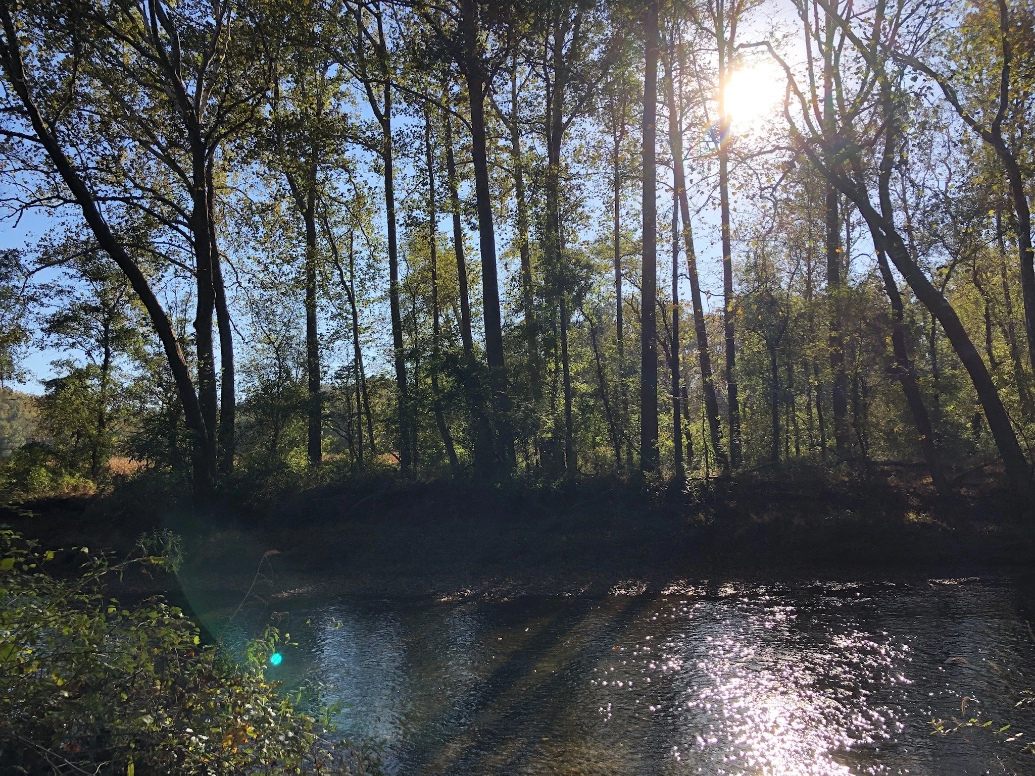 IMG_0060.JPG