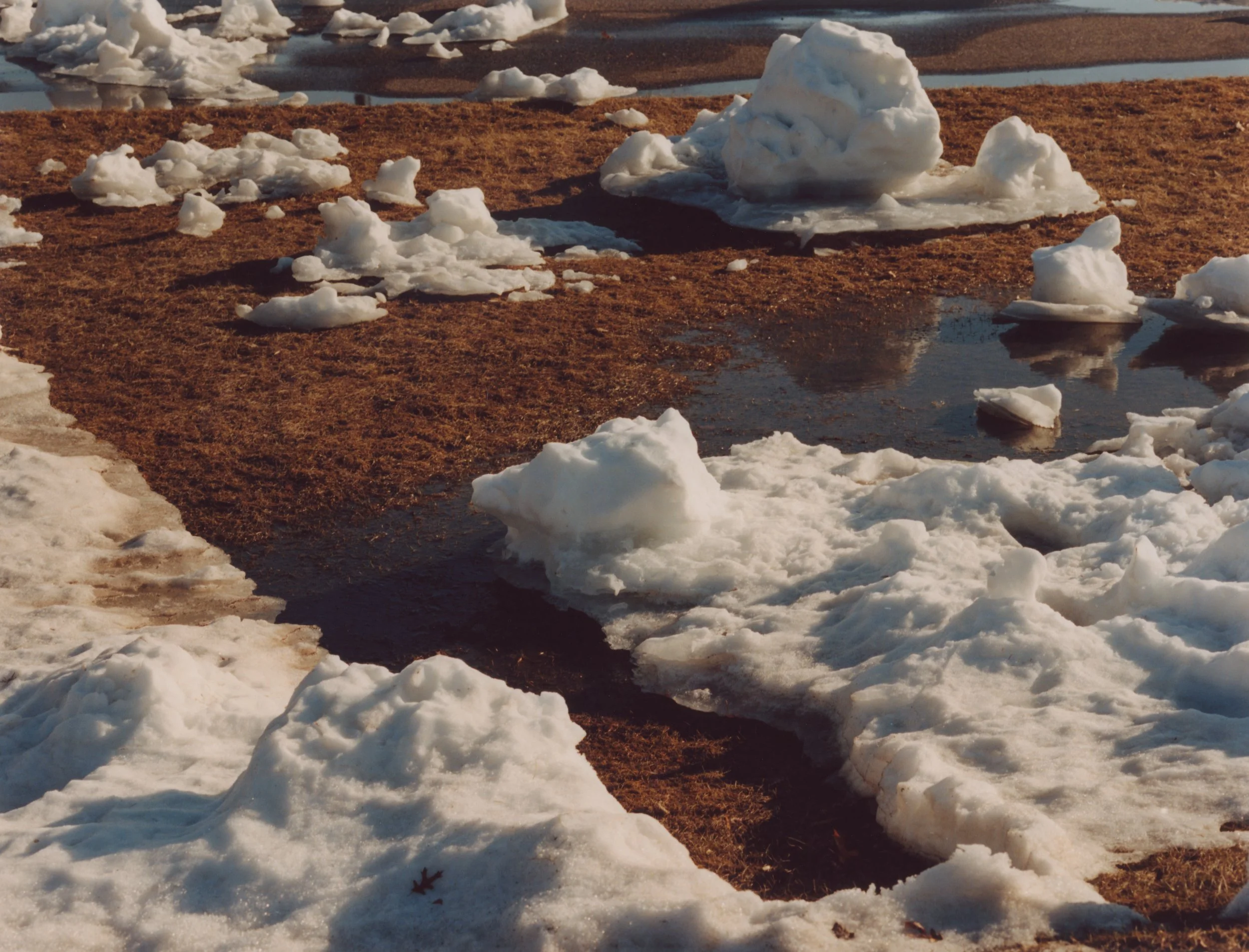 Jangar by Paley Fairman_7.jpg