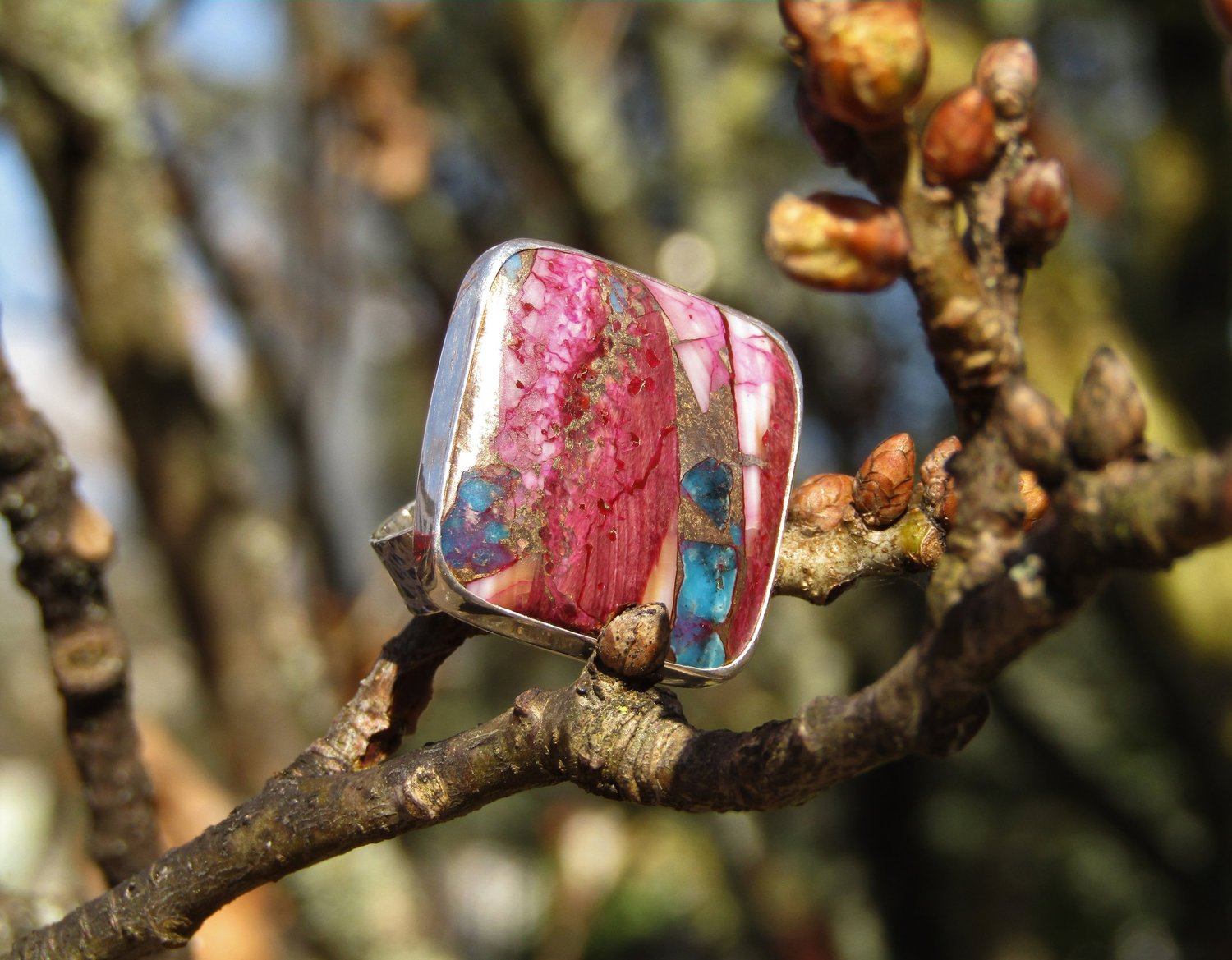 Pink Spiny Oyster Pink Spiny Oyster Highest Mojave