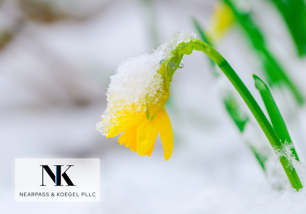 Spring 2026 Newsletter