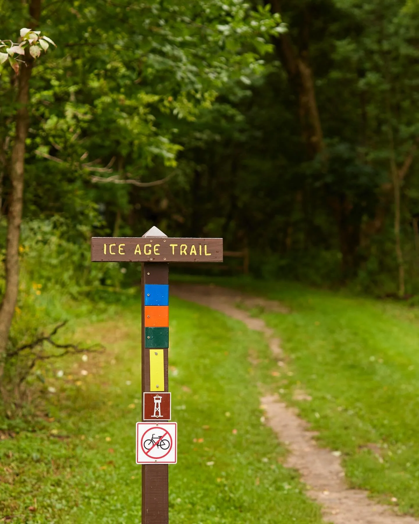 a little trail hike after a long day shooting an event, the perfect way to reset in nature. always take advantage of your commute! 

The Pike Lake Segment of the Ice Age Trail is a 3.3 mile hike through the Kettle Moraine State Forest. It connects wi