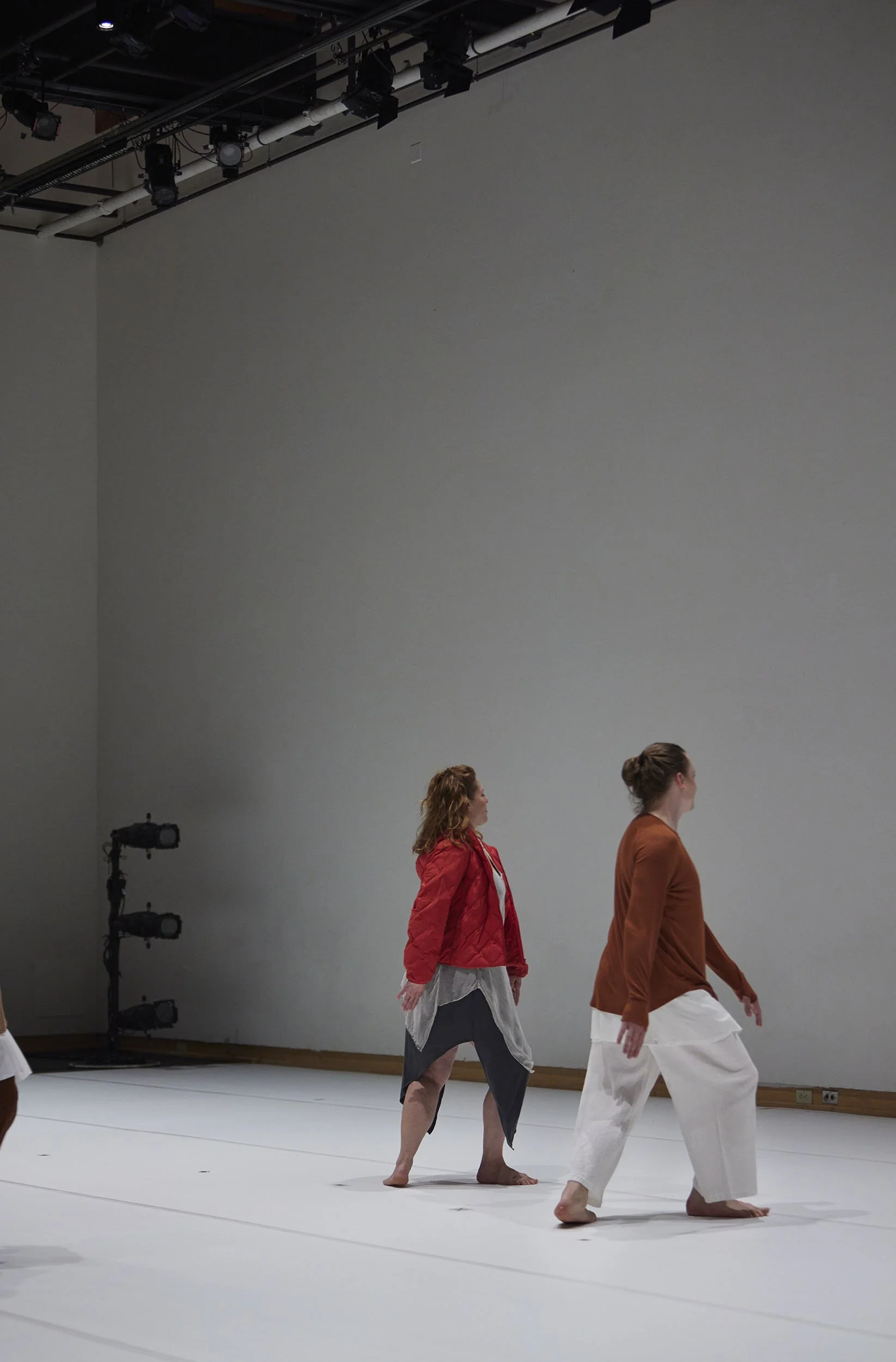 Heidi_Latsky_Dance_022.jpg