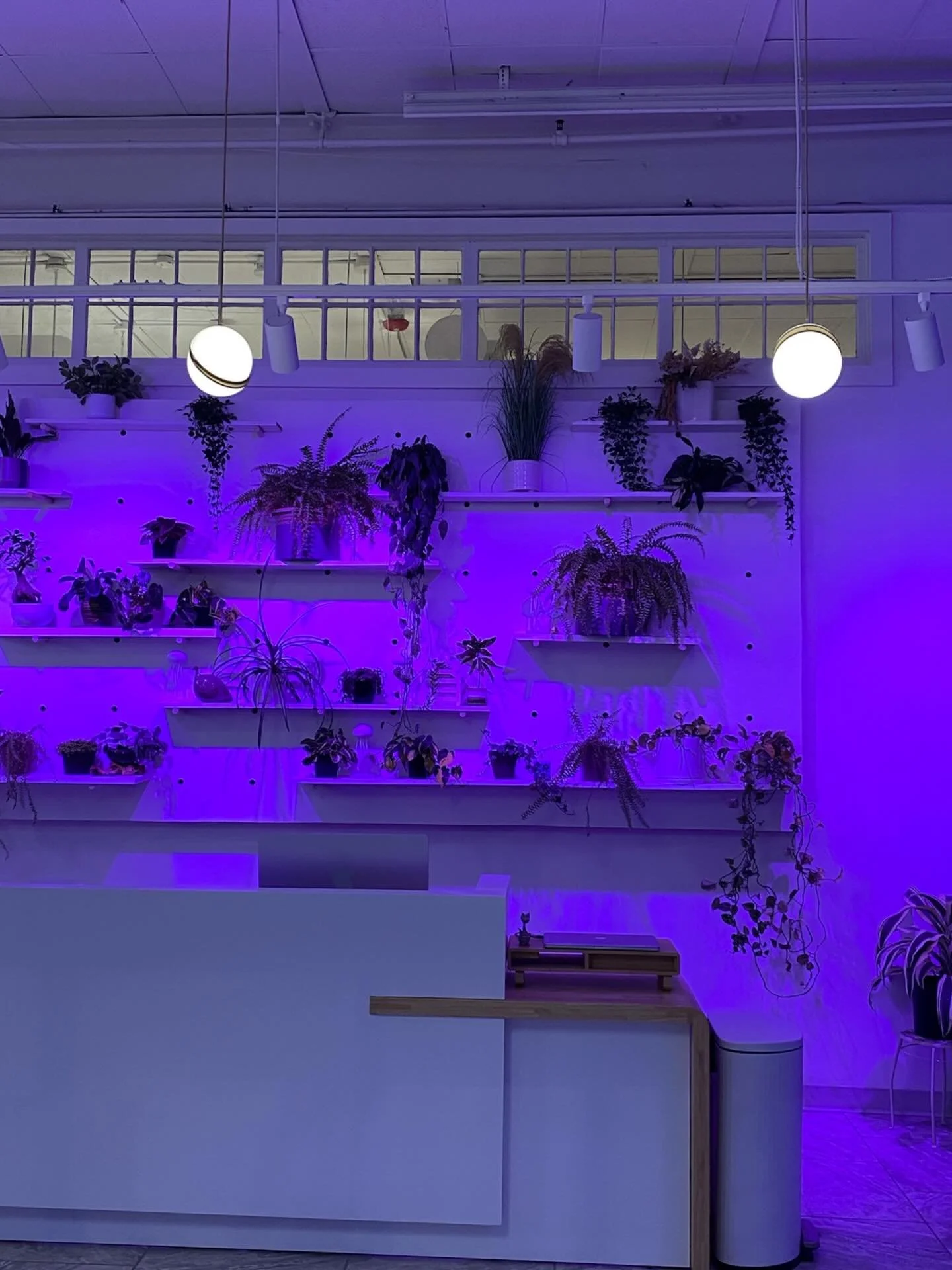 RGBW lighting is a MOOD at this boutique fitness studio 💜🤎

ft. @pureedge track easily controlled by @wiztechnology app

+
+
Salud Studio
Portland, ME