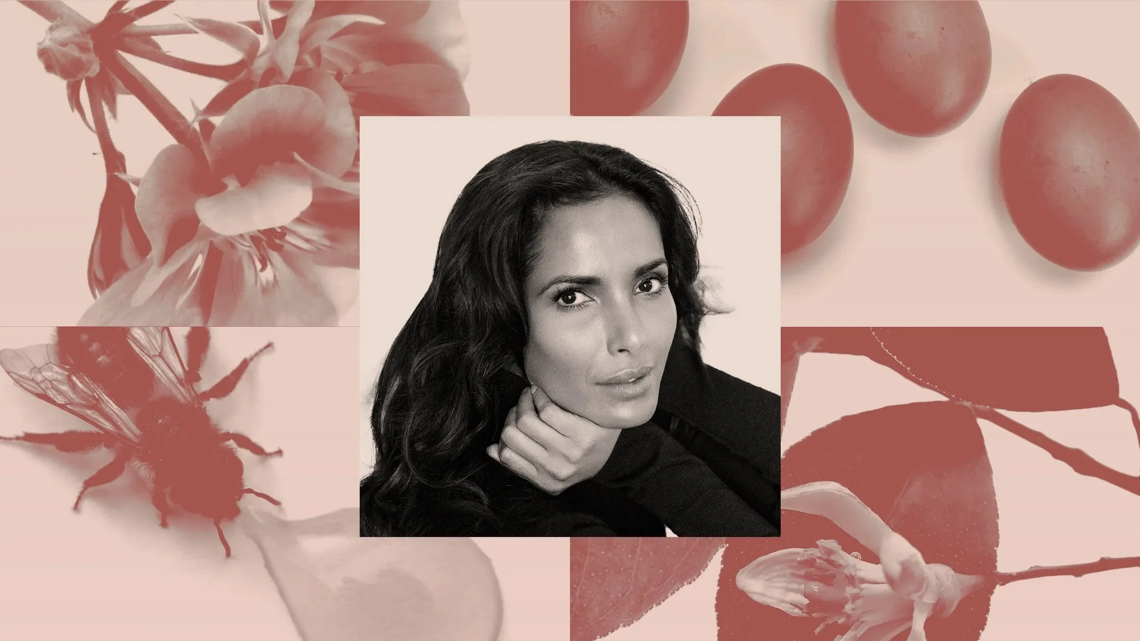 Well Fed: Padma Lakshmi | Allure