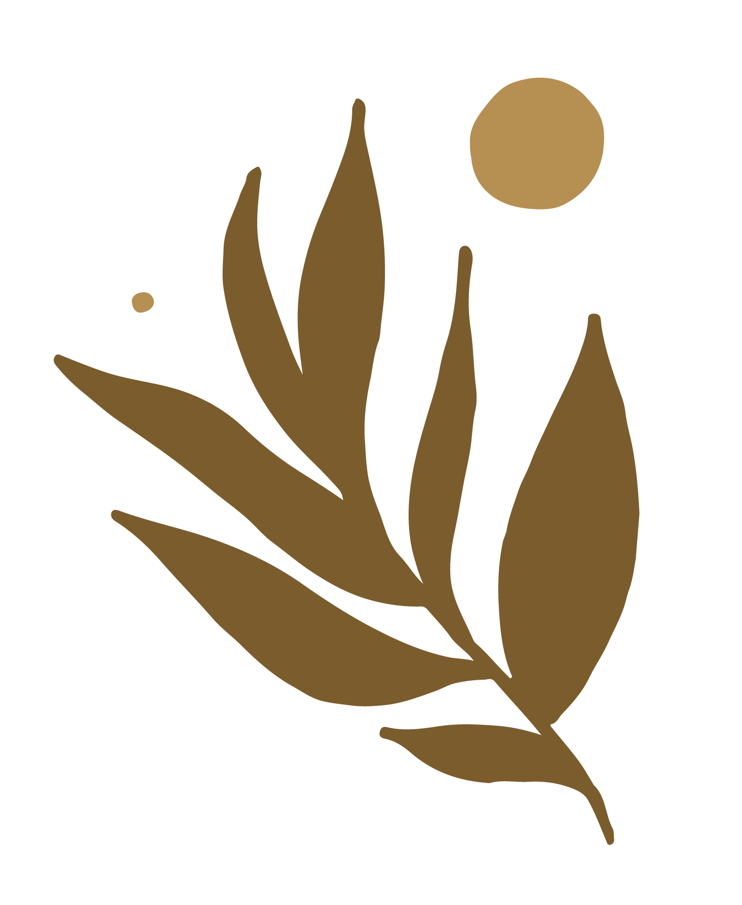 ADHD therapist for adults Alberta