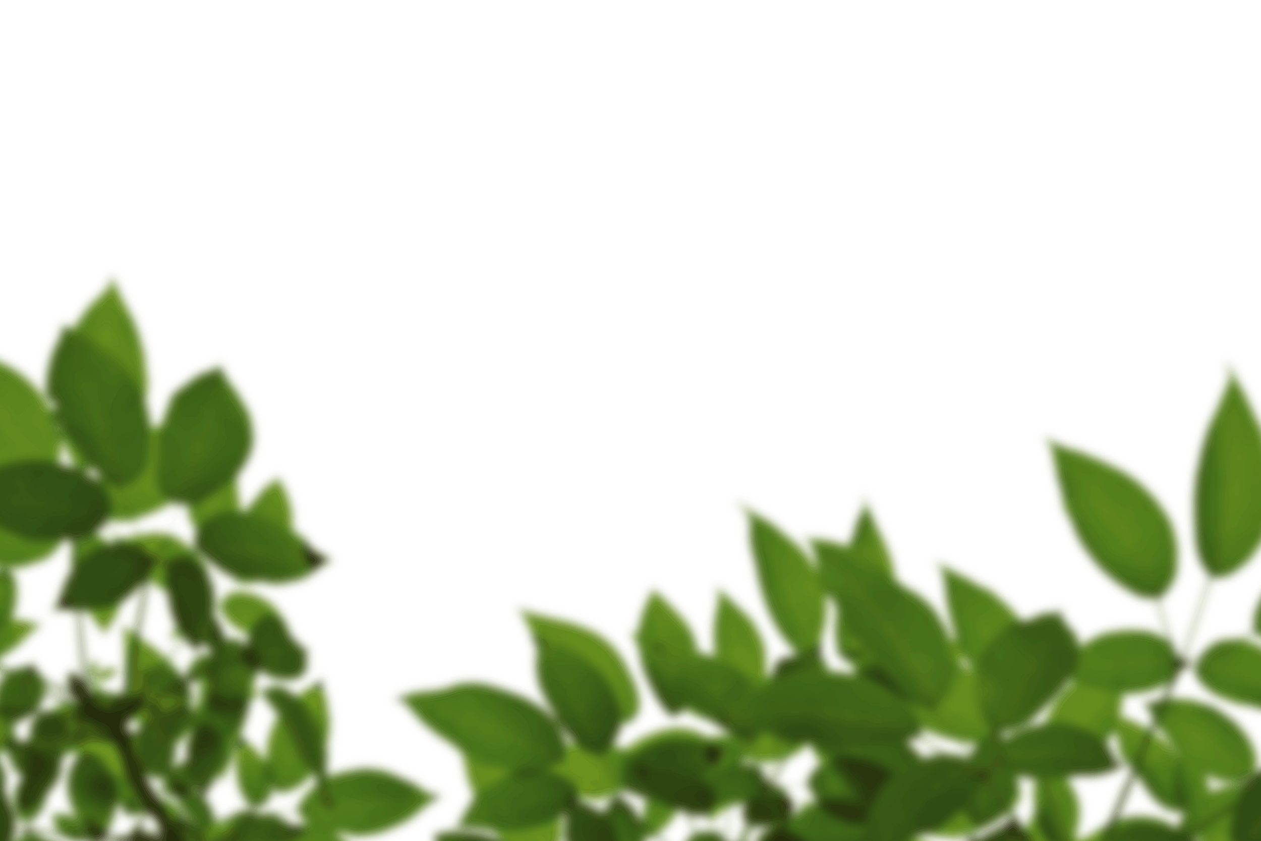 12.png