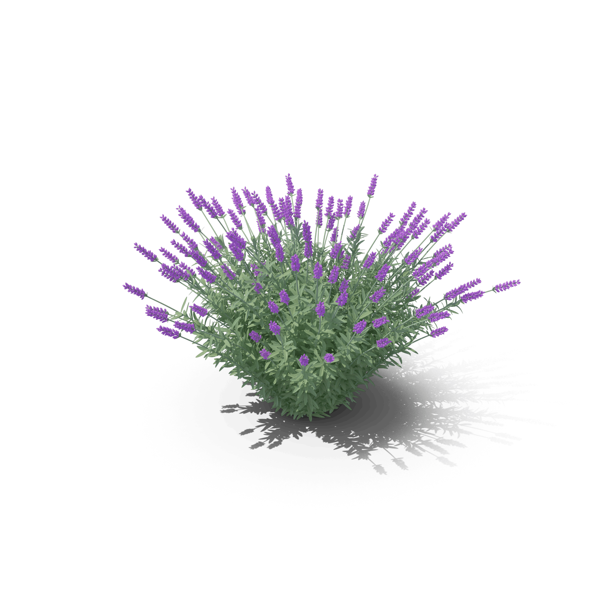18.png