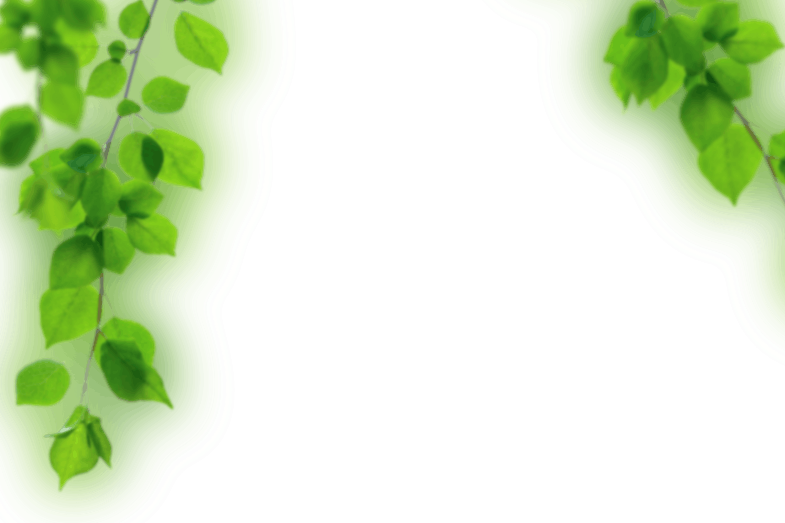 8.png