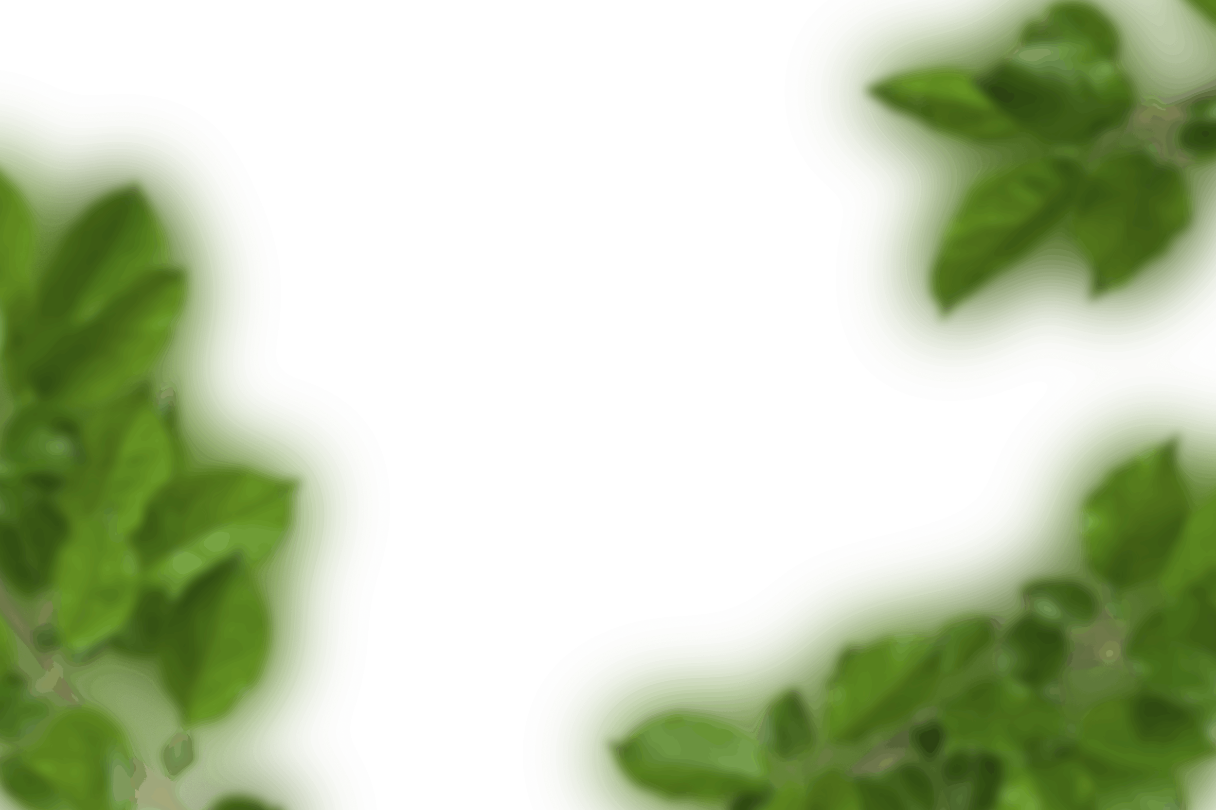 12.png