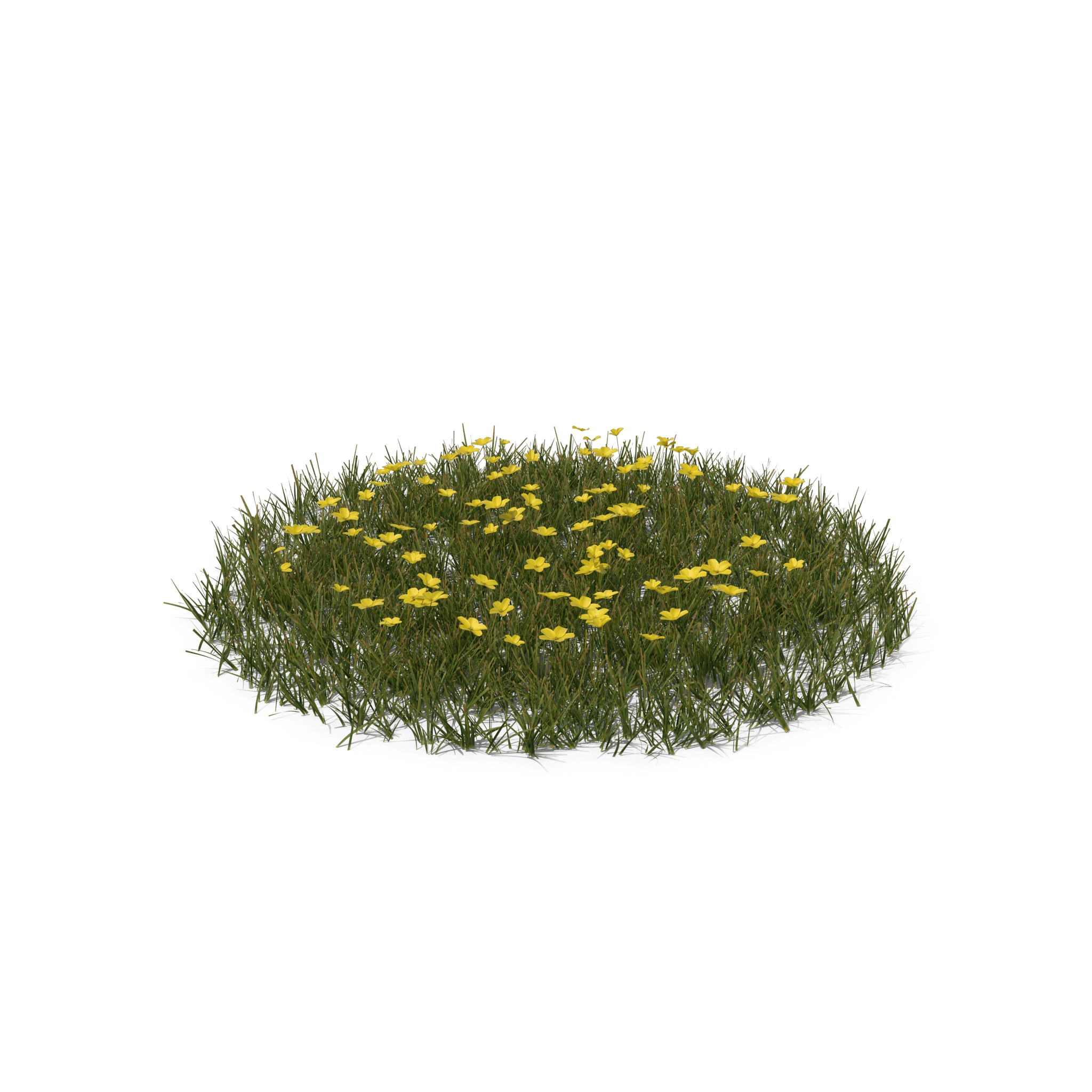 44.png