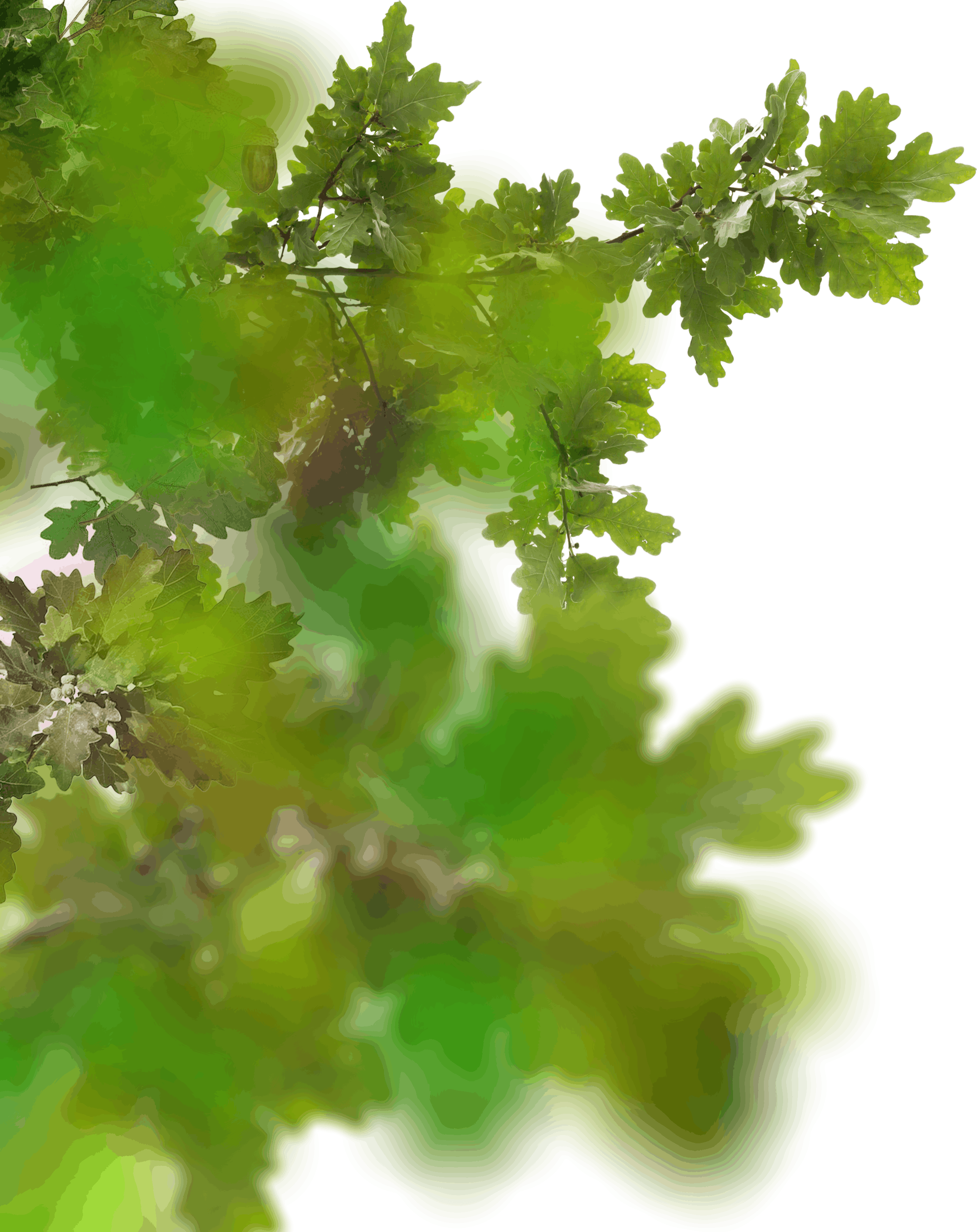 13.png