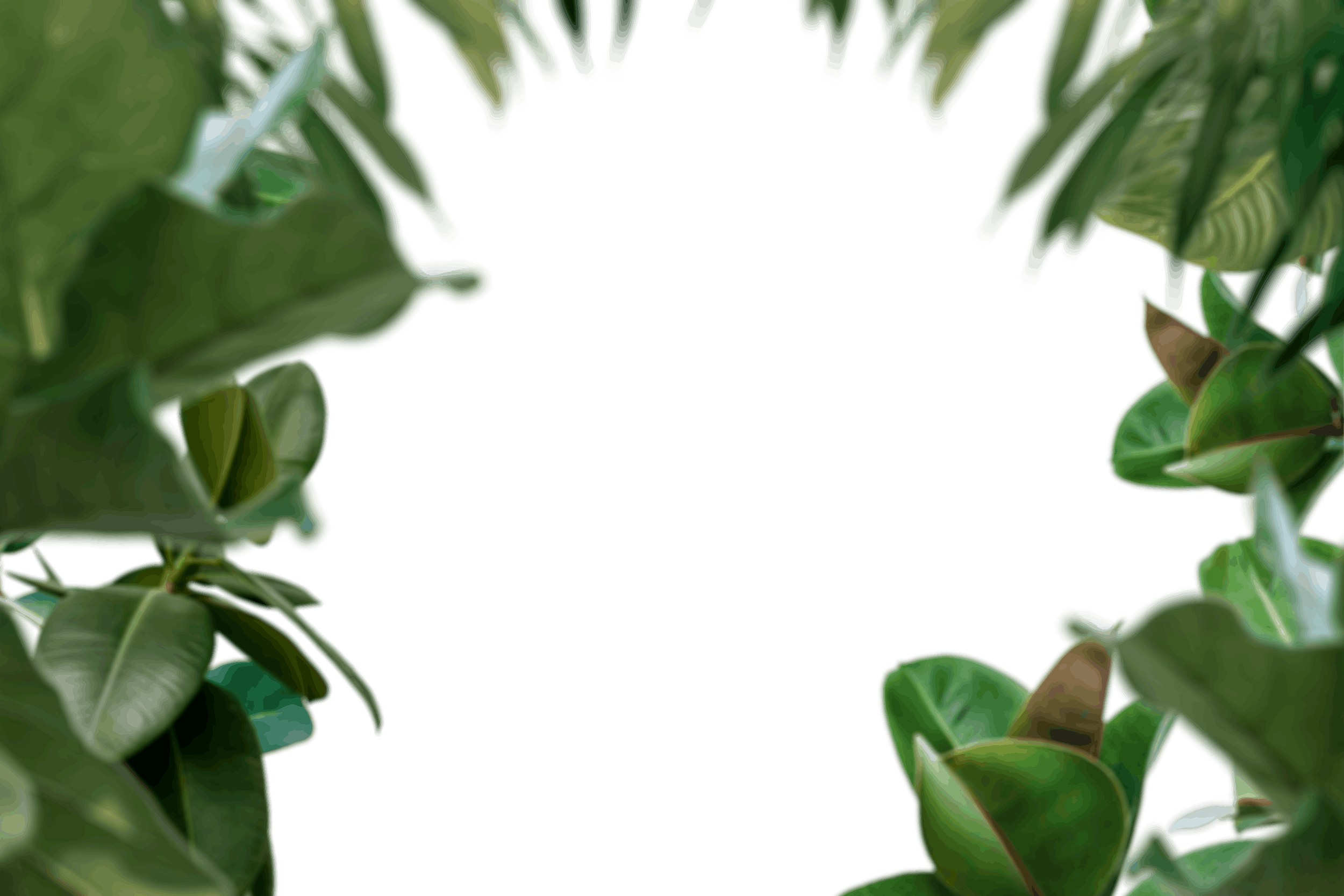 12.png
