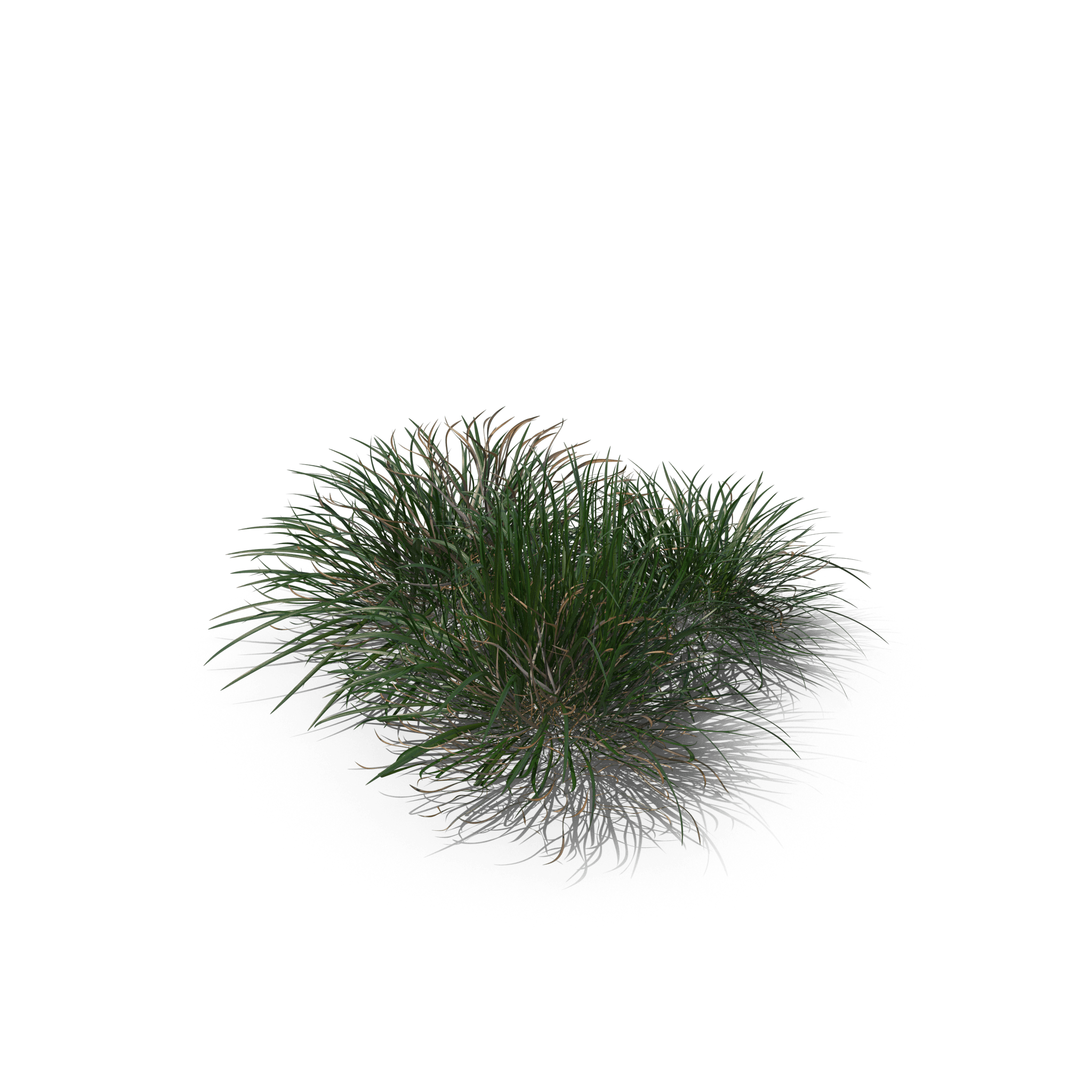 1.png